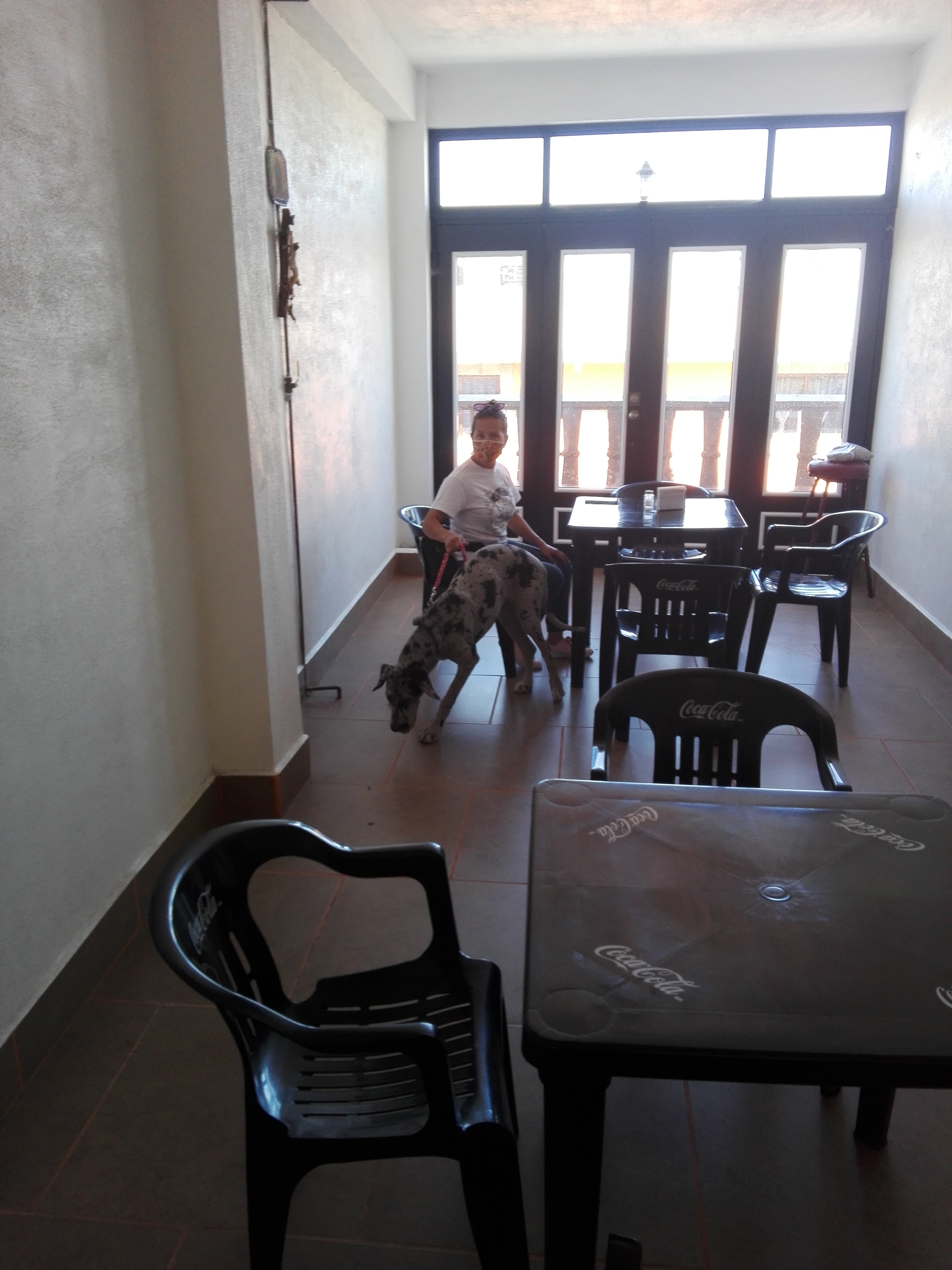 CARNICERIA Y CARNITAS JUANITO image 6