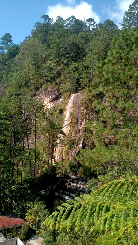 Bambú Rancho Betania image 3