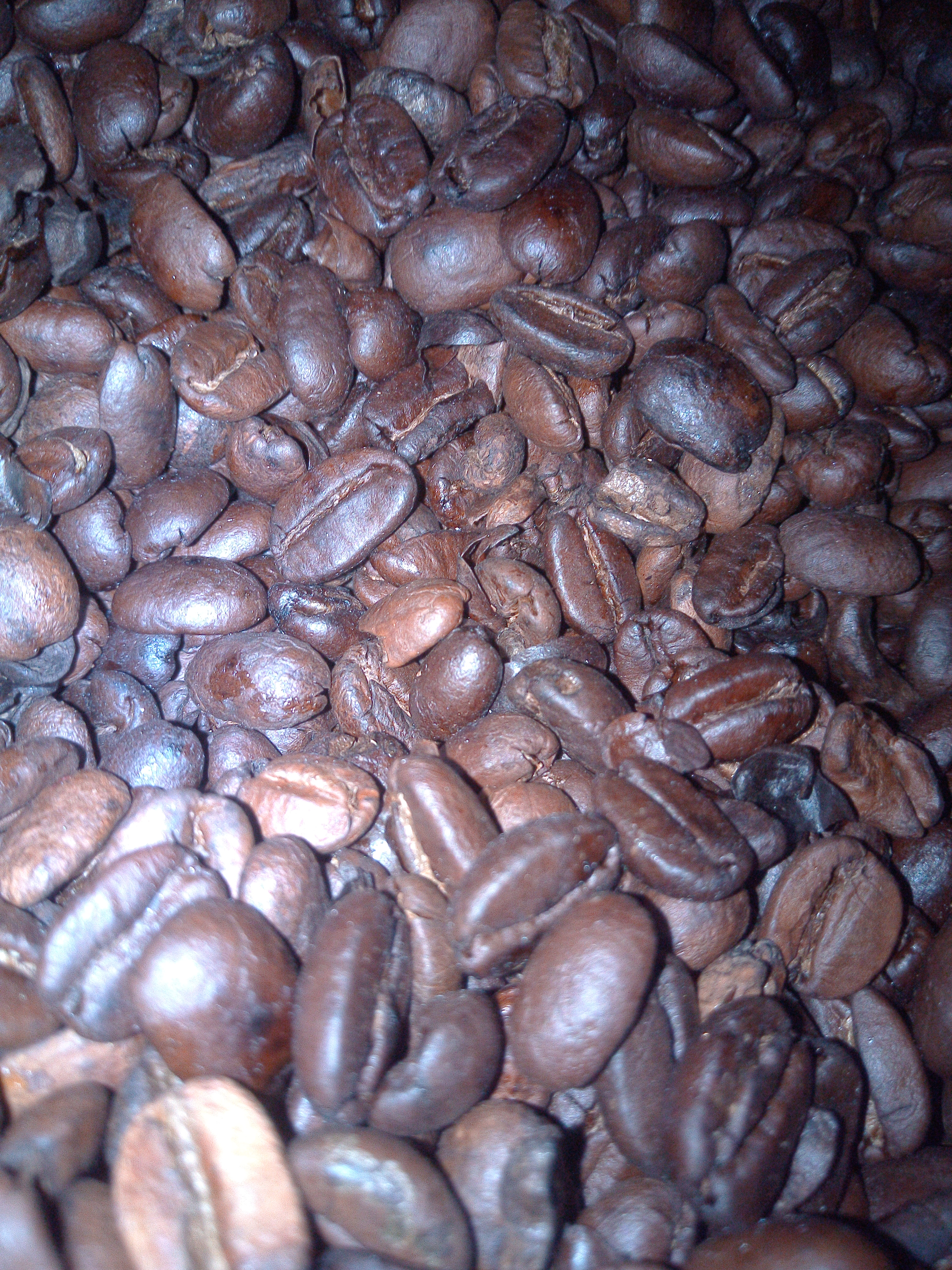 Rancho Ecoturistíco Betania image 2