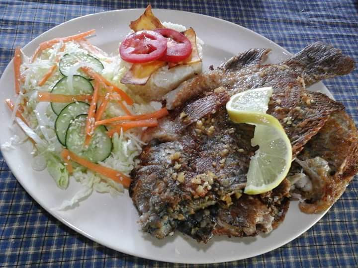 Rancho Ecoturistíco Betania image 9