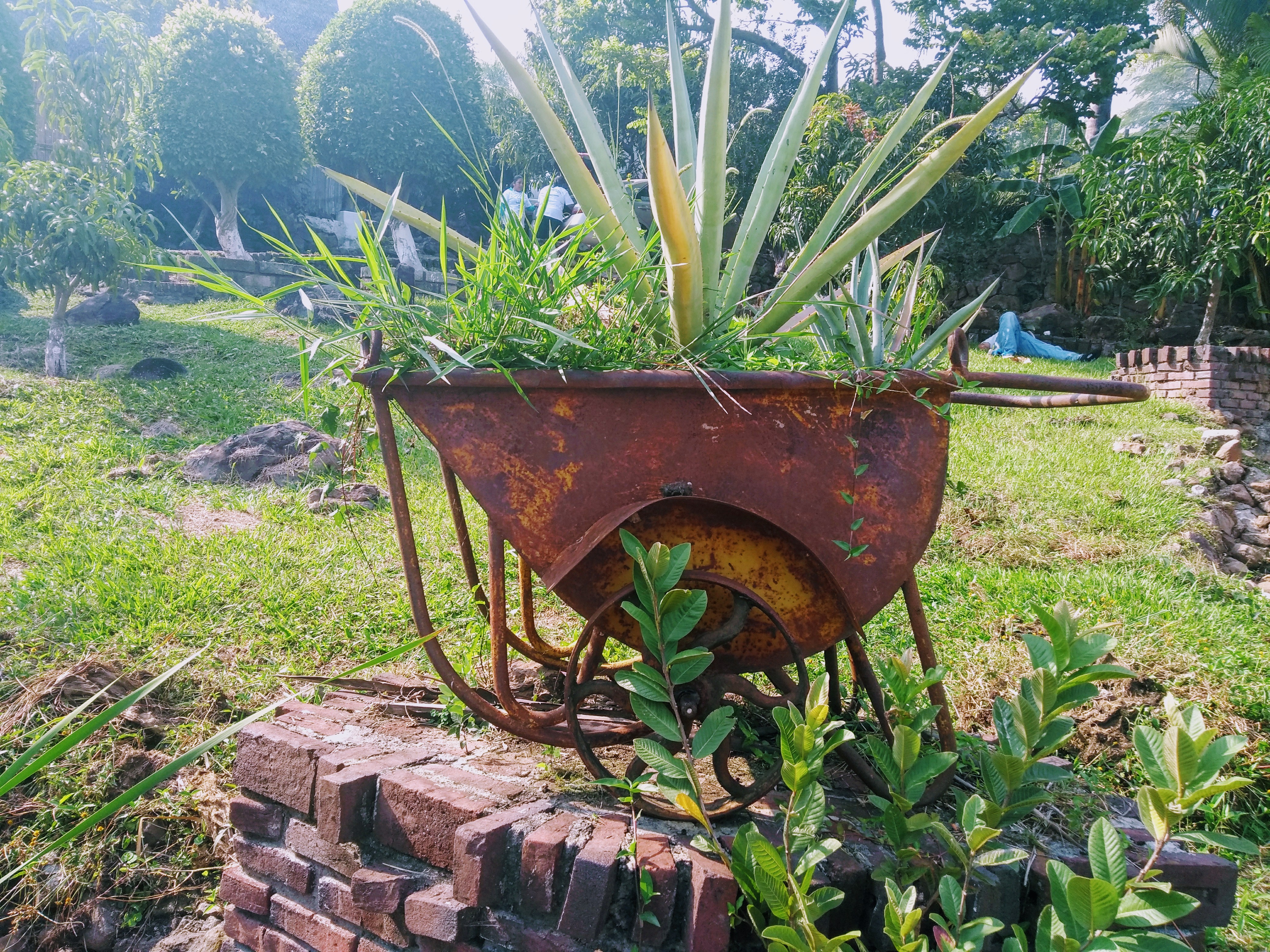 Palapa Las Rosas image 4
