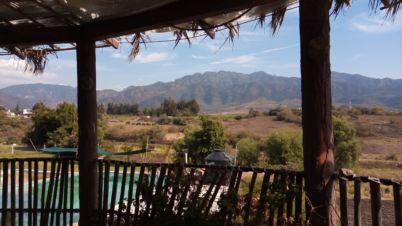 Palapa Las Rosas image 5