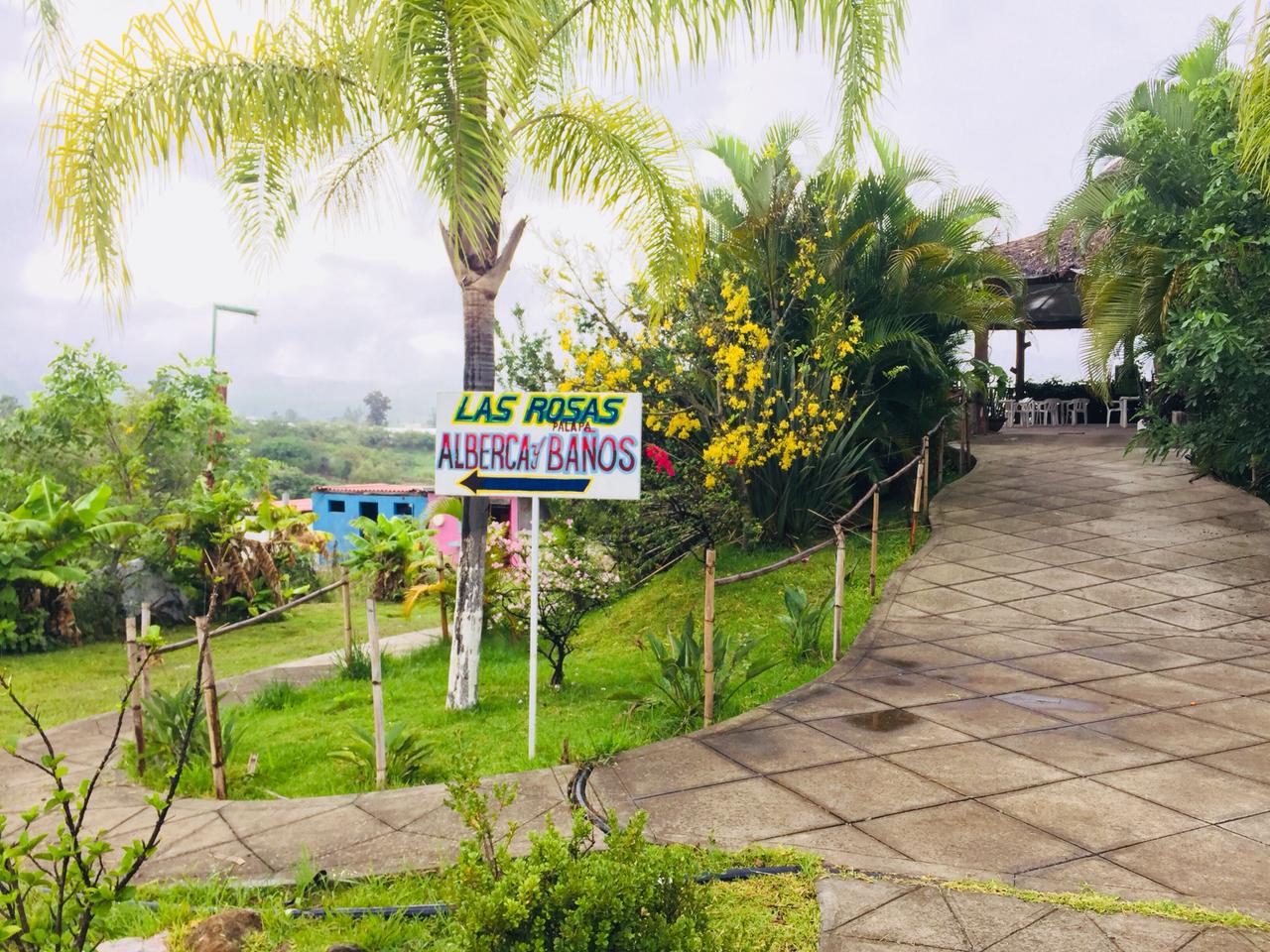 Palapa Las Rosas image 6