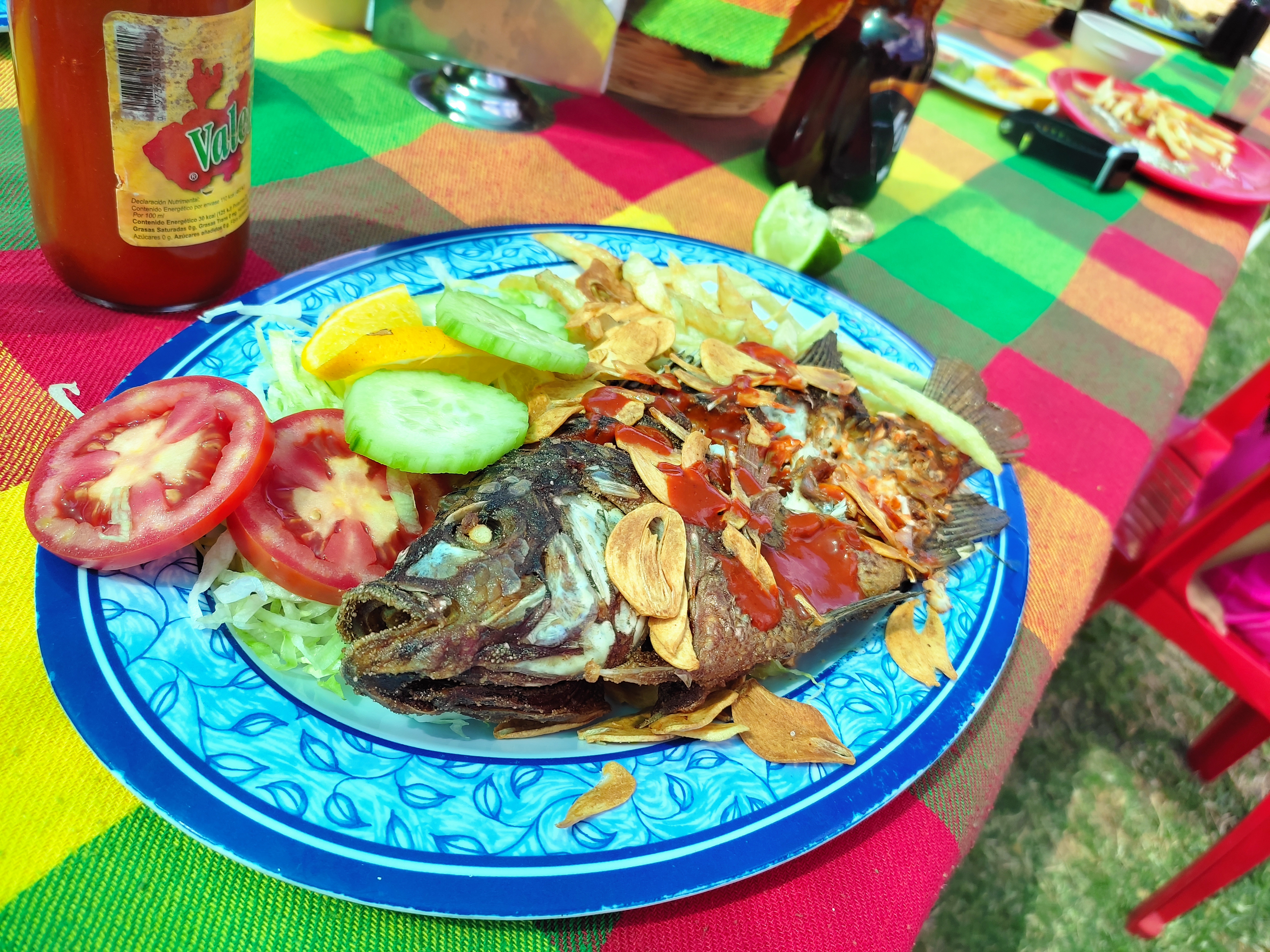 Palapa Las Rosas image 8