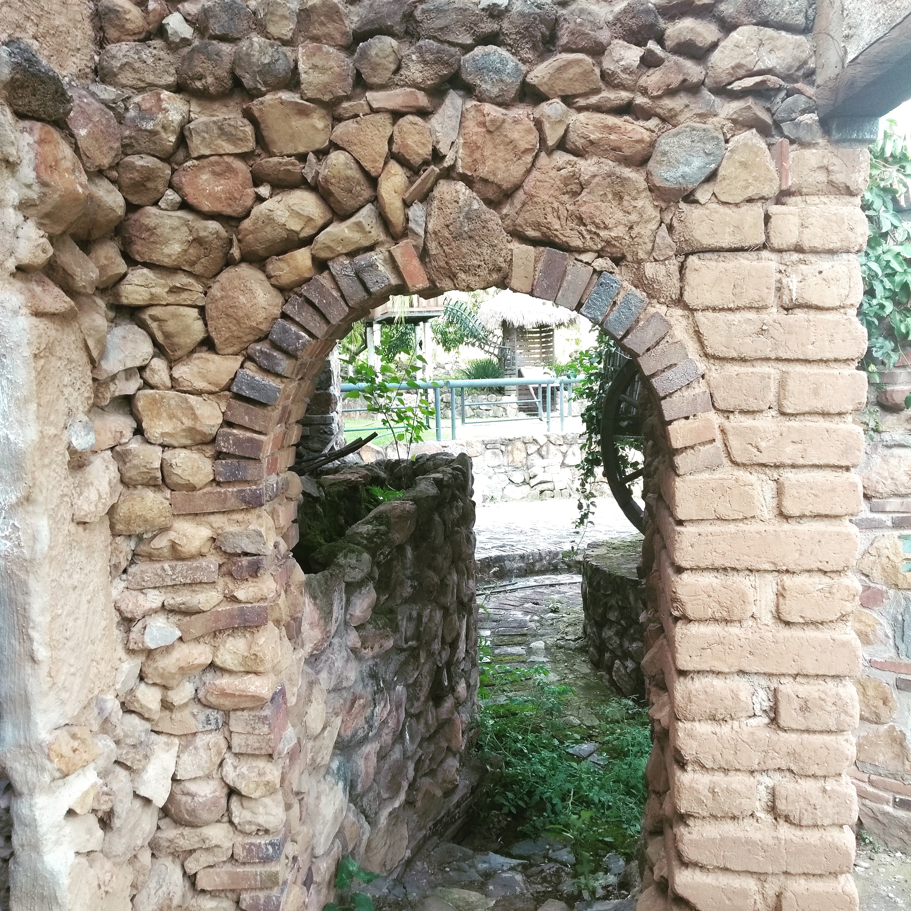 Palapa Las Rosas image 10