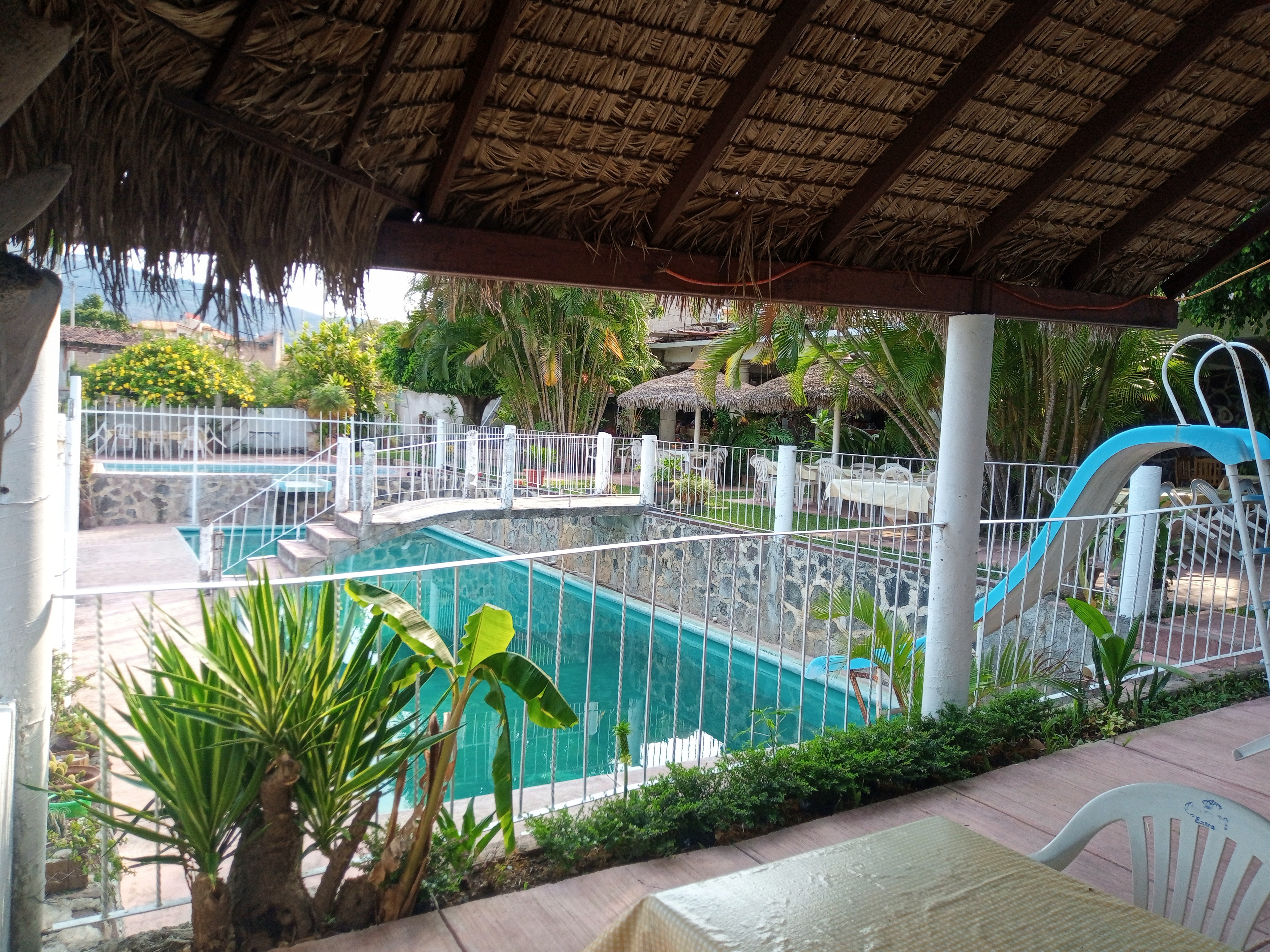 Restaurant, Canta Ranas. image 3