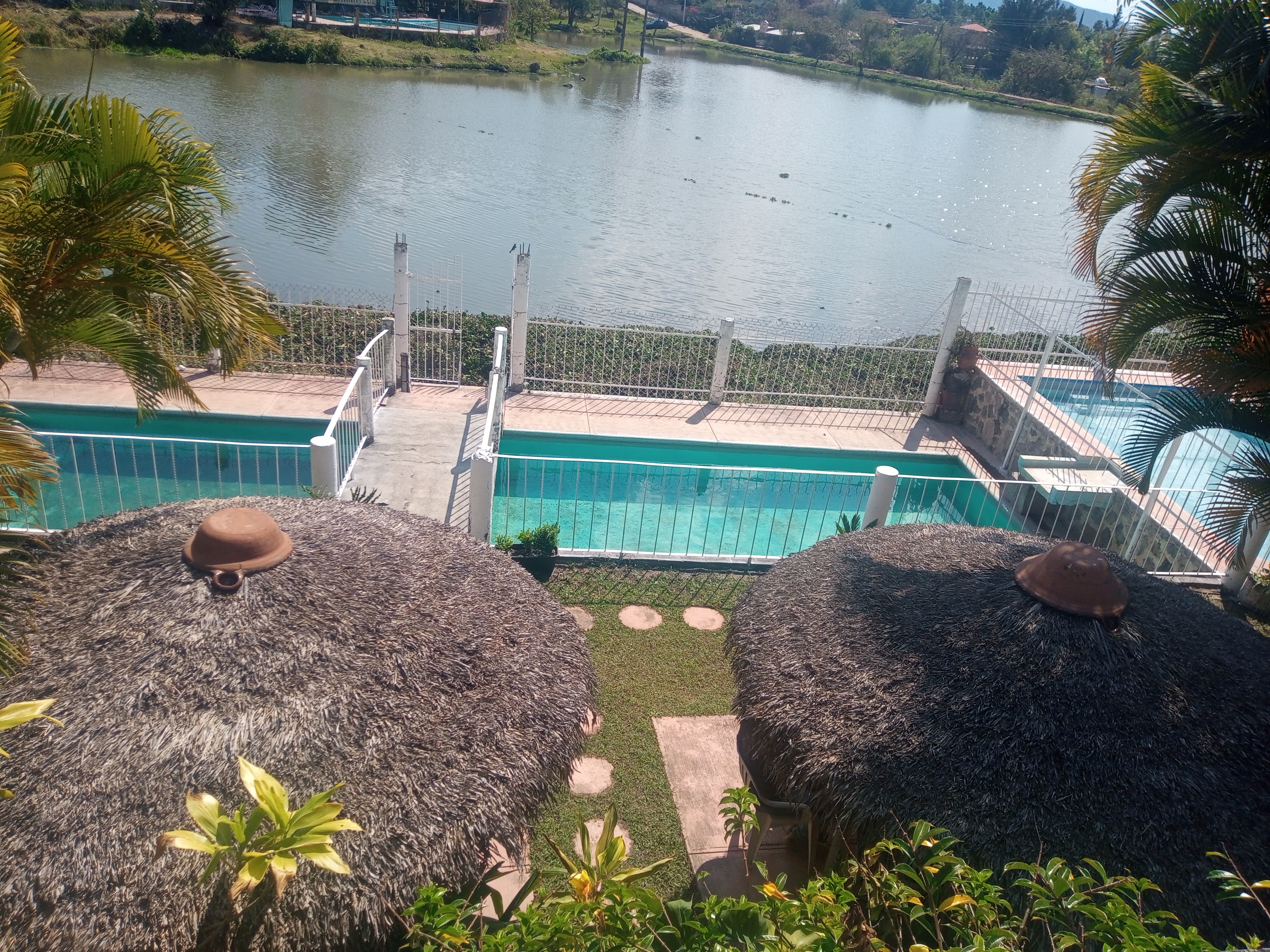 Restaurant, Canta Ranas. image 9