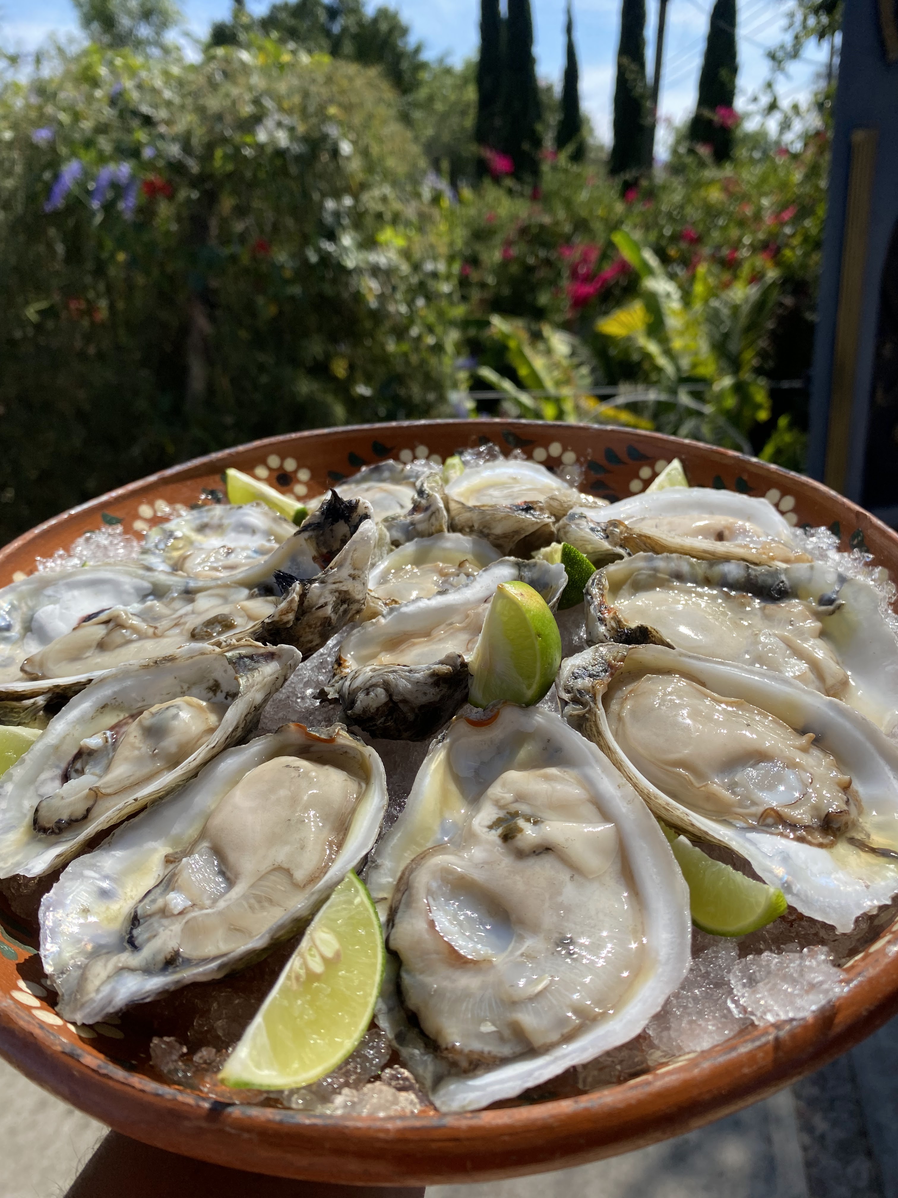 El Pacifico Malinalco image 5