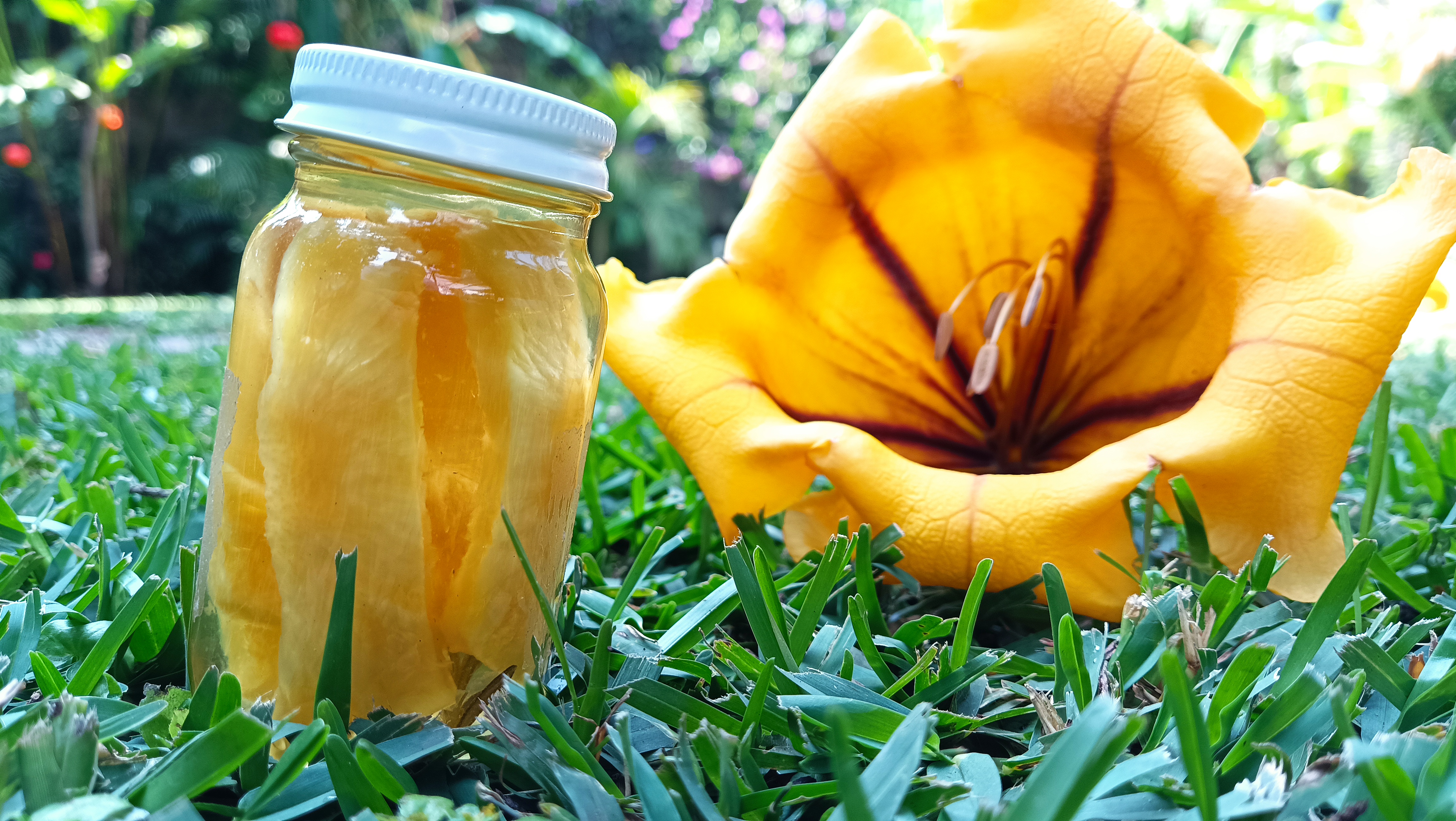 El Pacifico Malinalco image 6