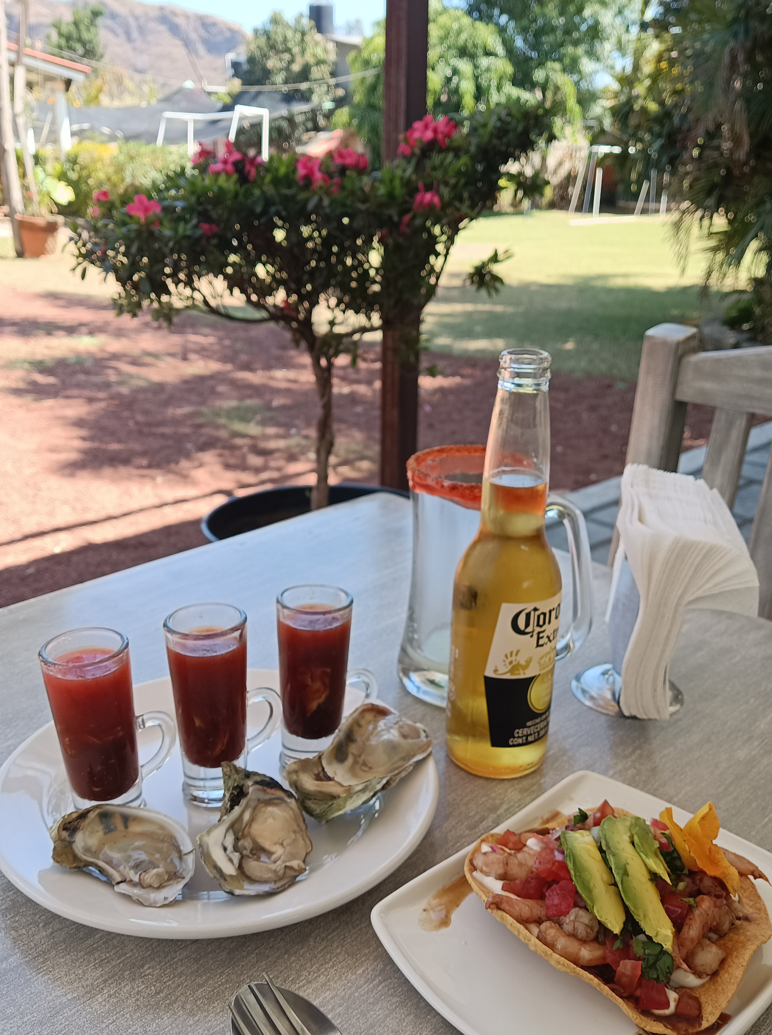 El Pacifico Malinalco image 9