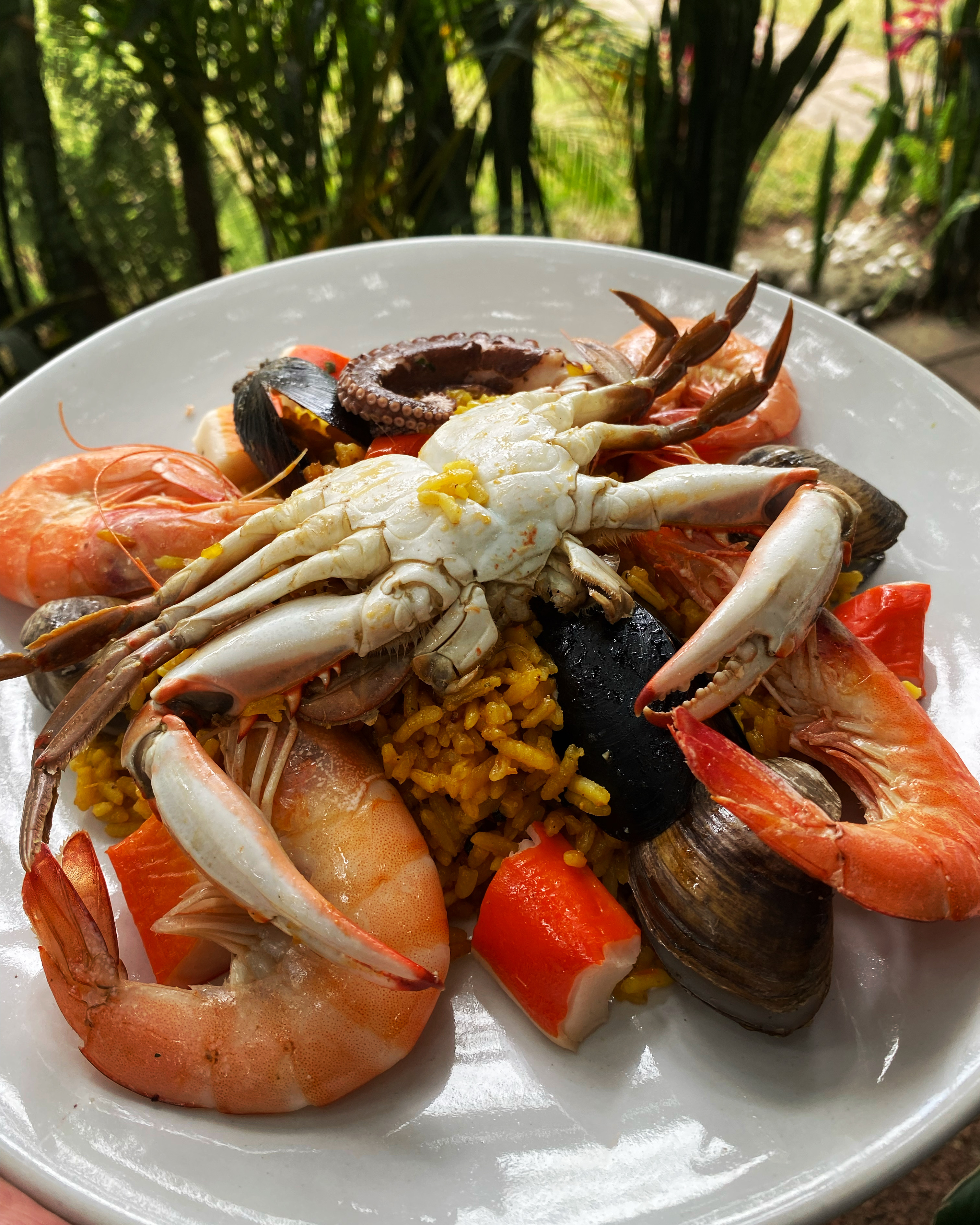 El Pacifico Malinalco image 10