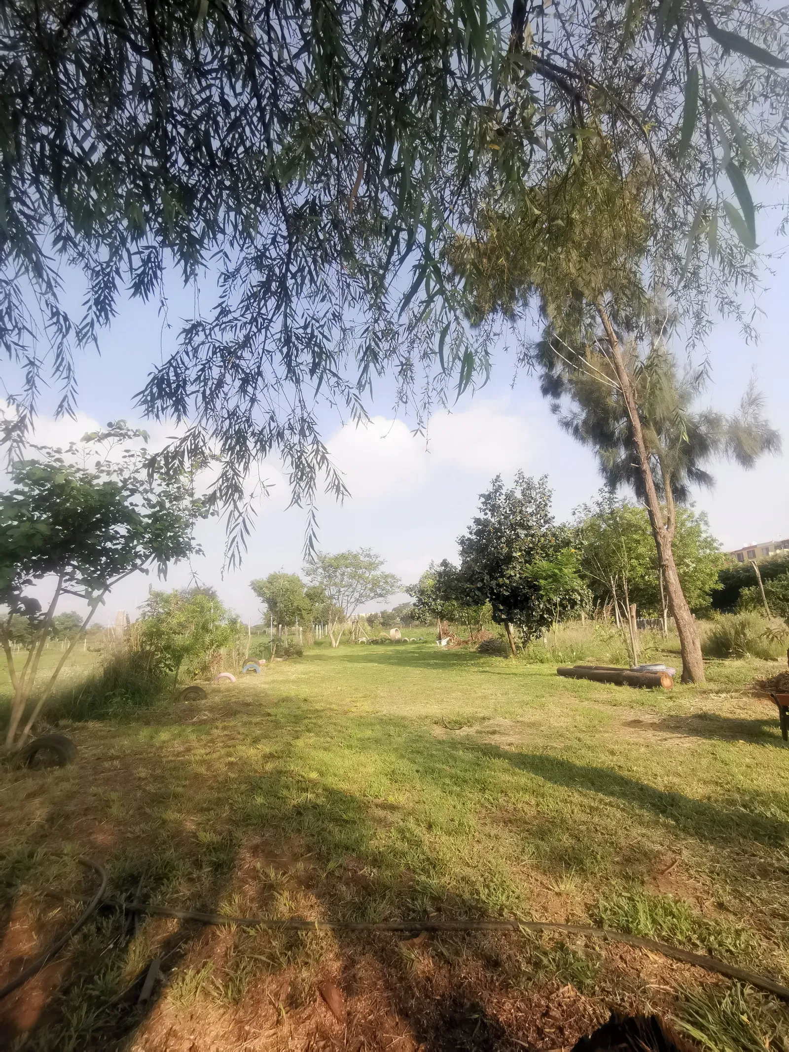 RABUU image 9