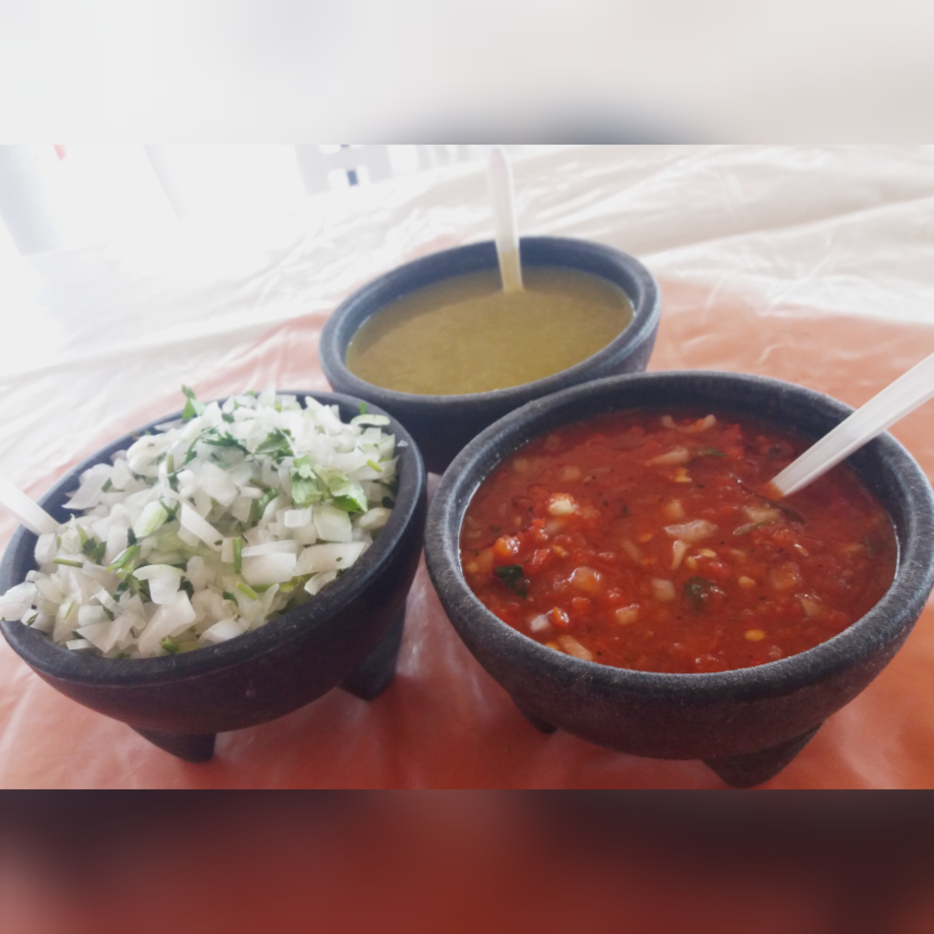 Palapa "El Rodeo" image 6