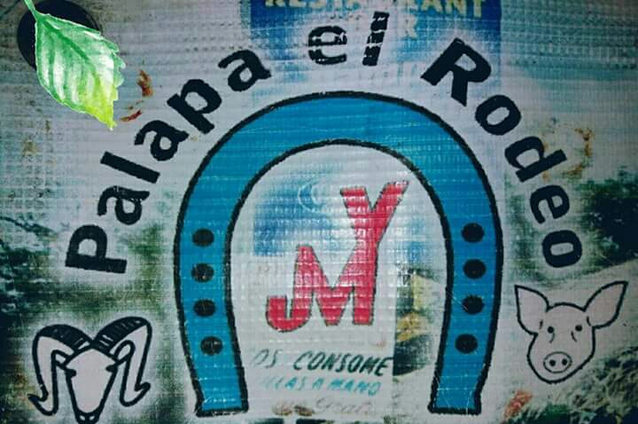 Palapa "El Rodeo" image 9