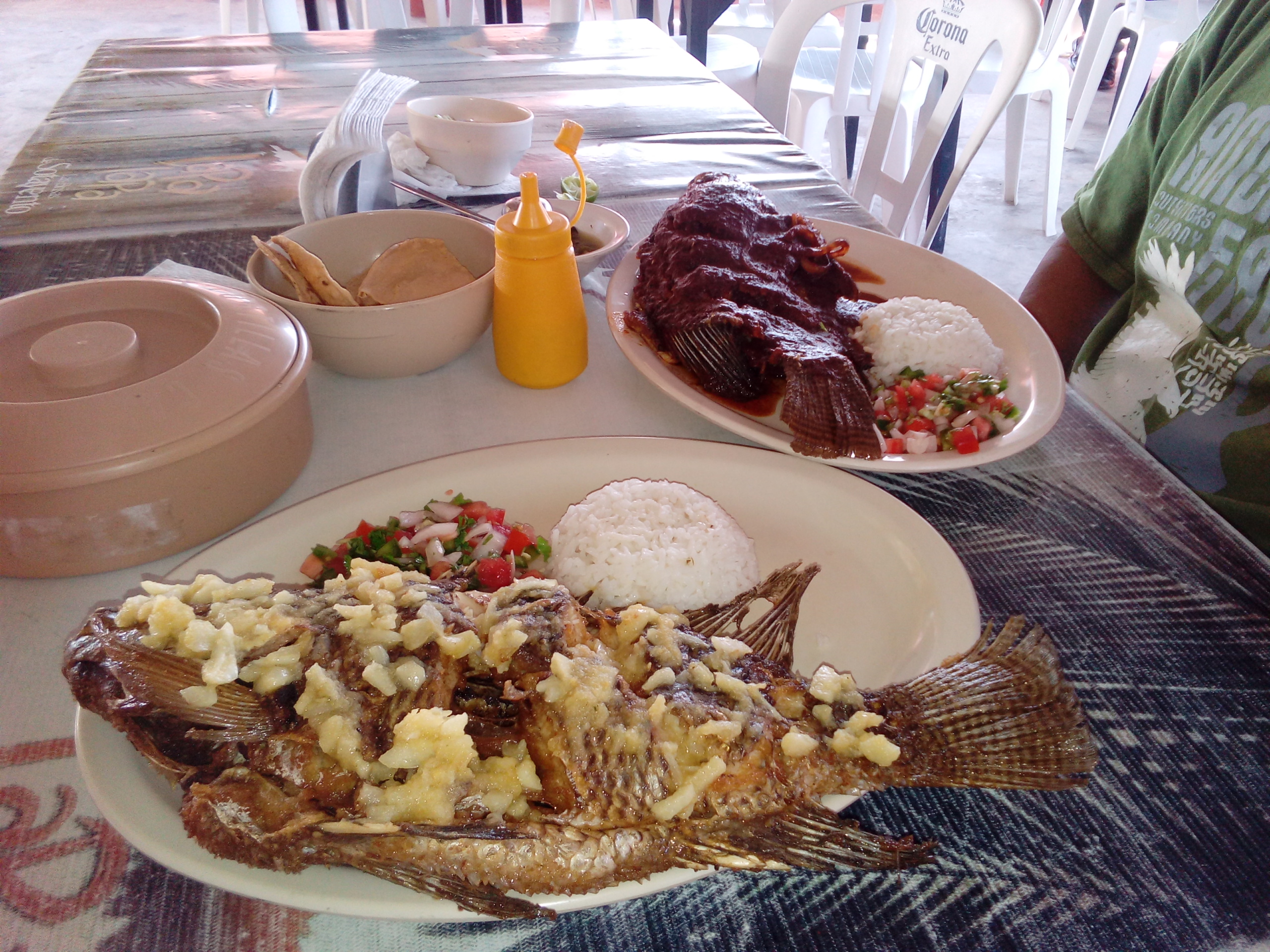 Palapa Las Brisas image 2