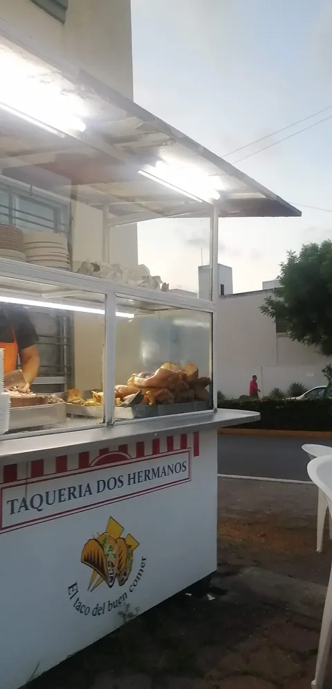 Taqueria Dos Hermanos image 4