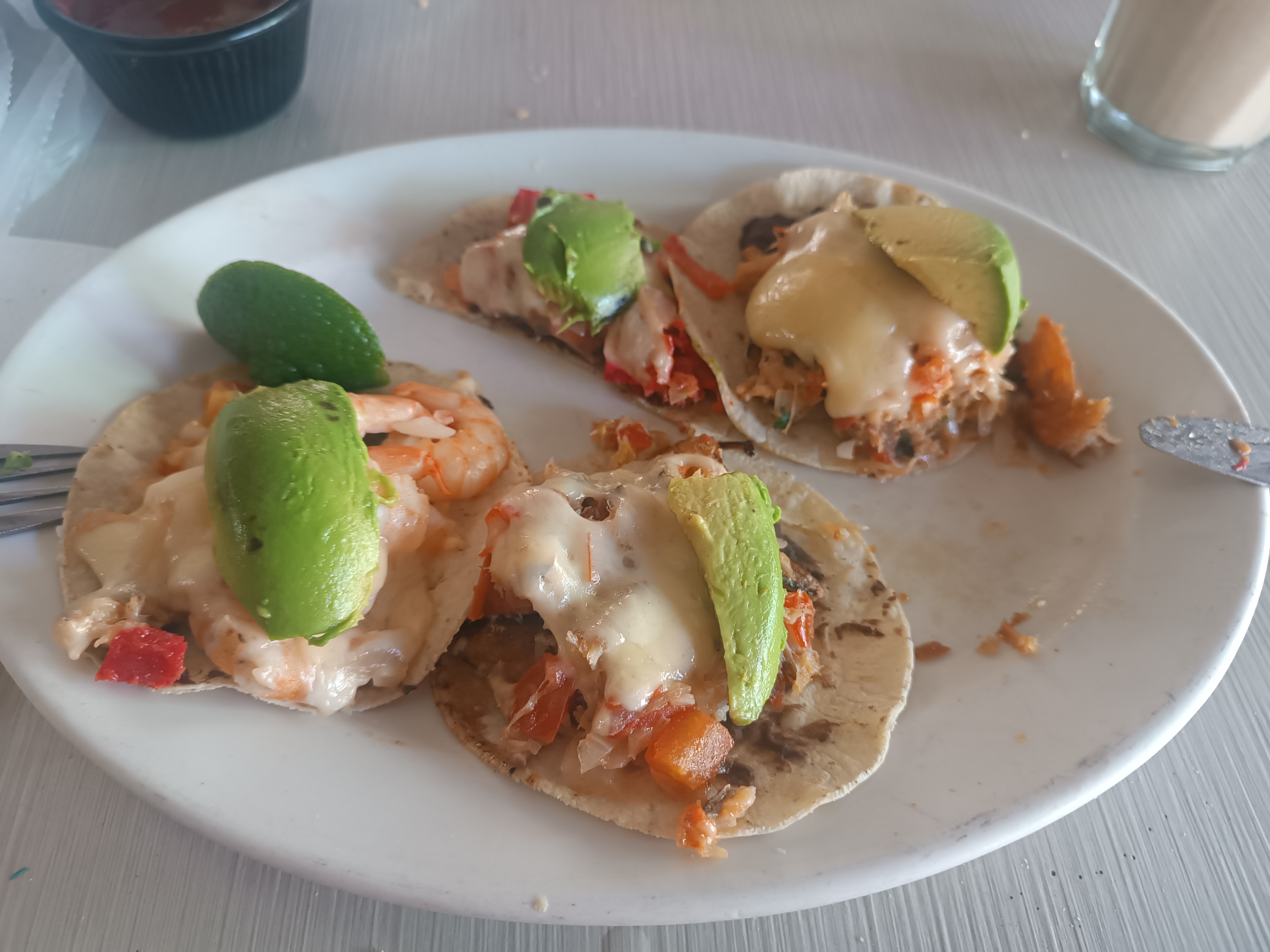 El Lagarto Marinero image 3