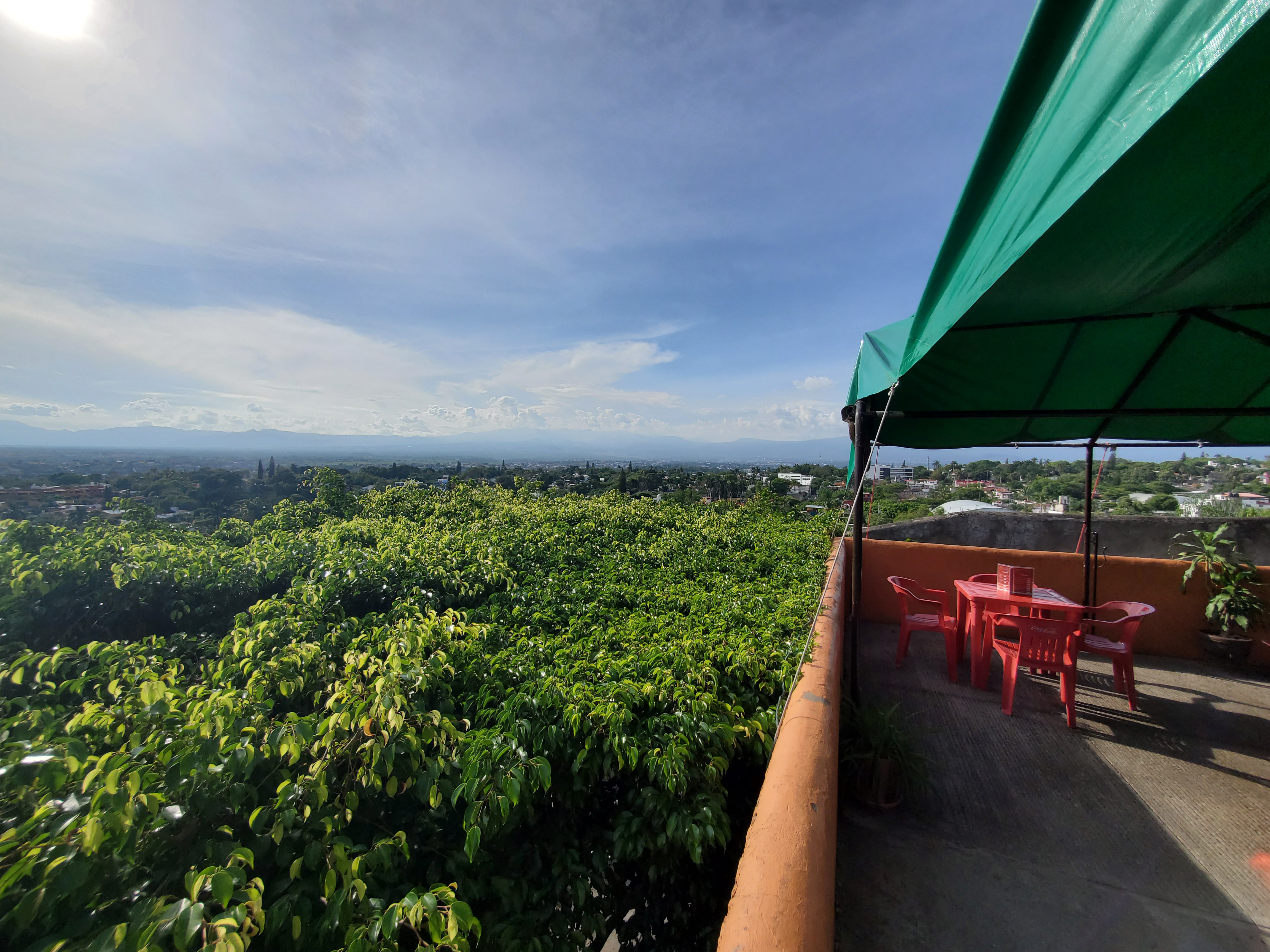 JB Burguer 100% Angus image 4