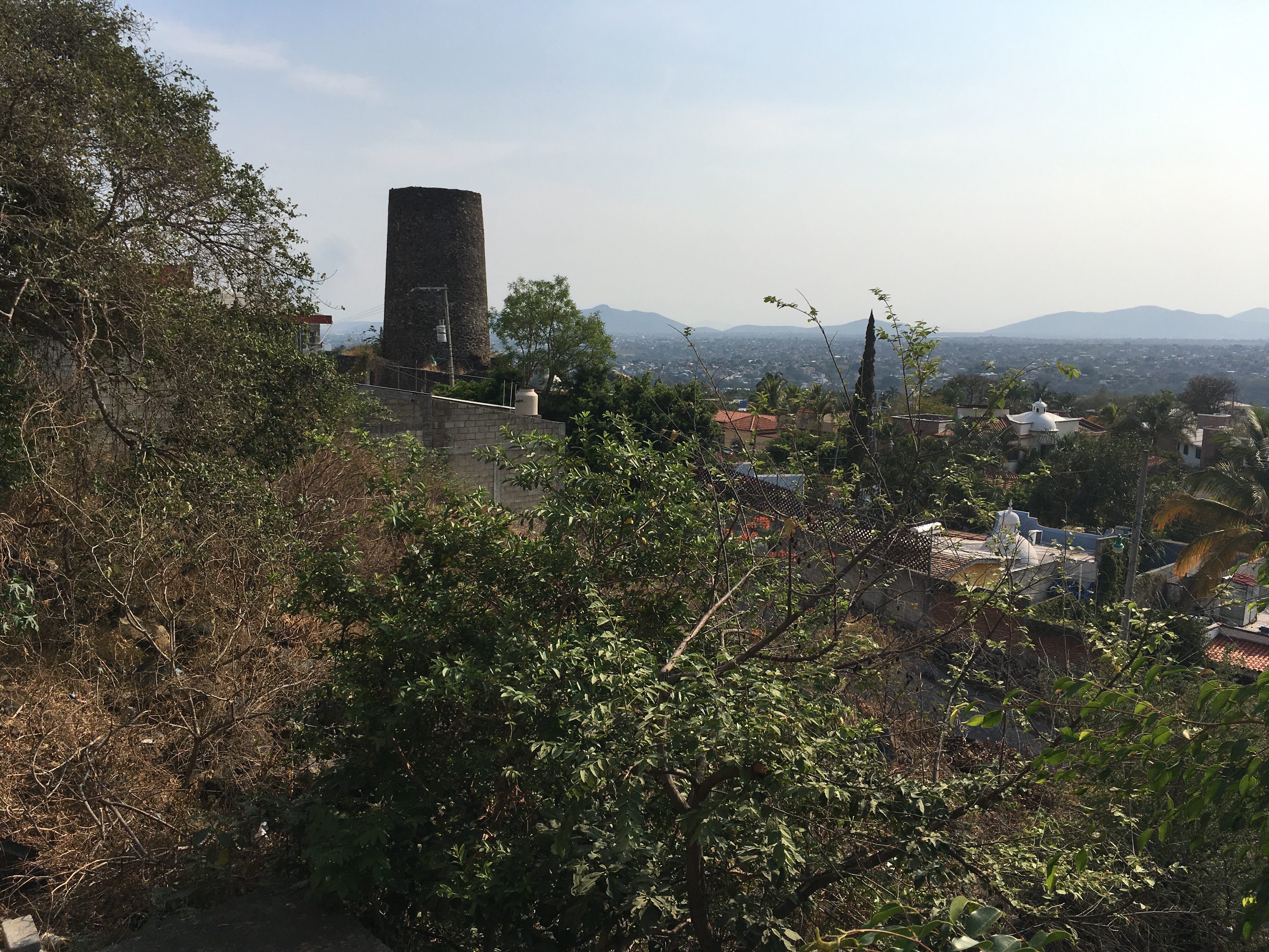 JB Burguer 100% Angus image 6