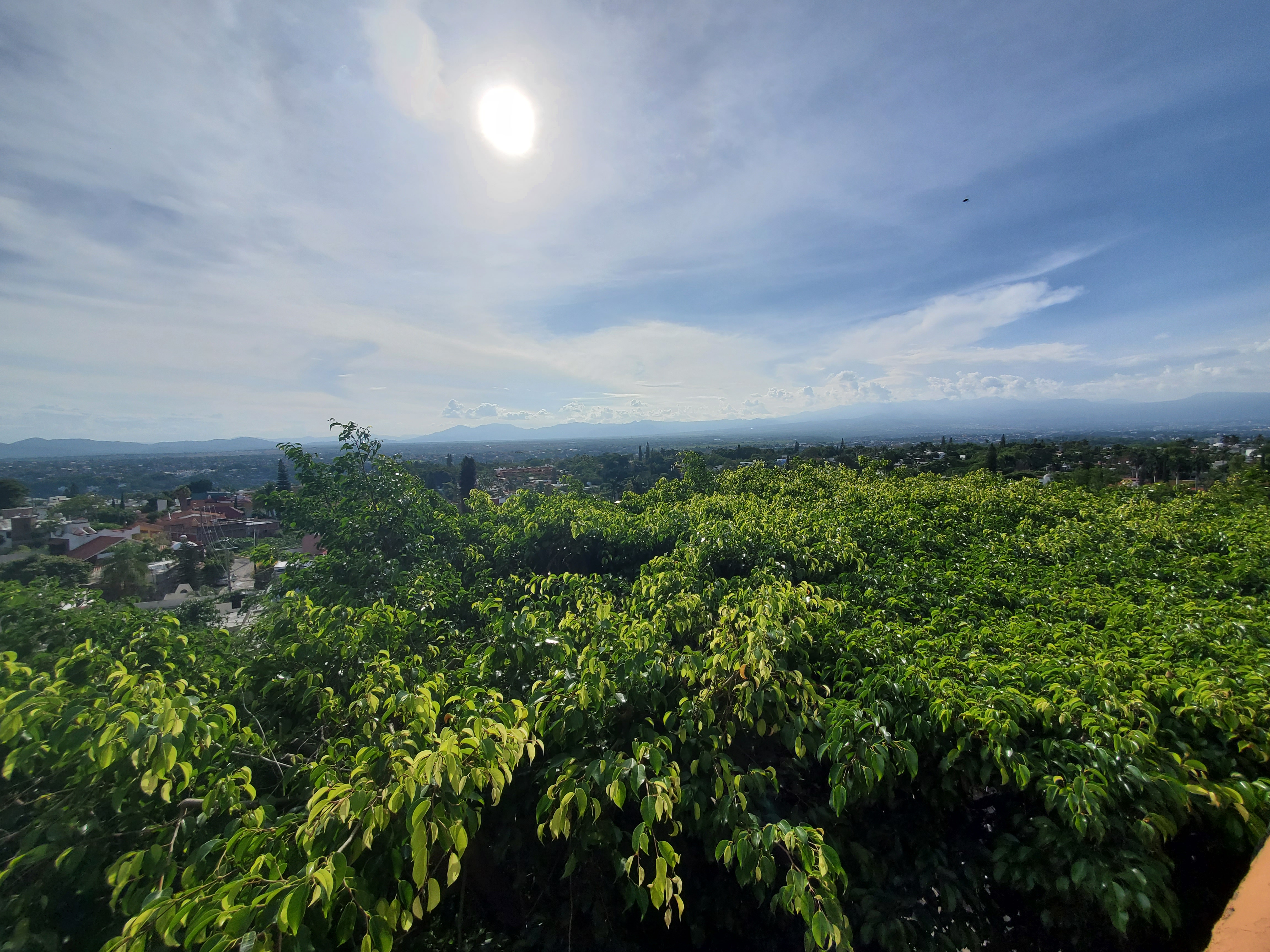 JB Burguer 100% Angus image 9