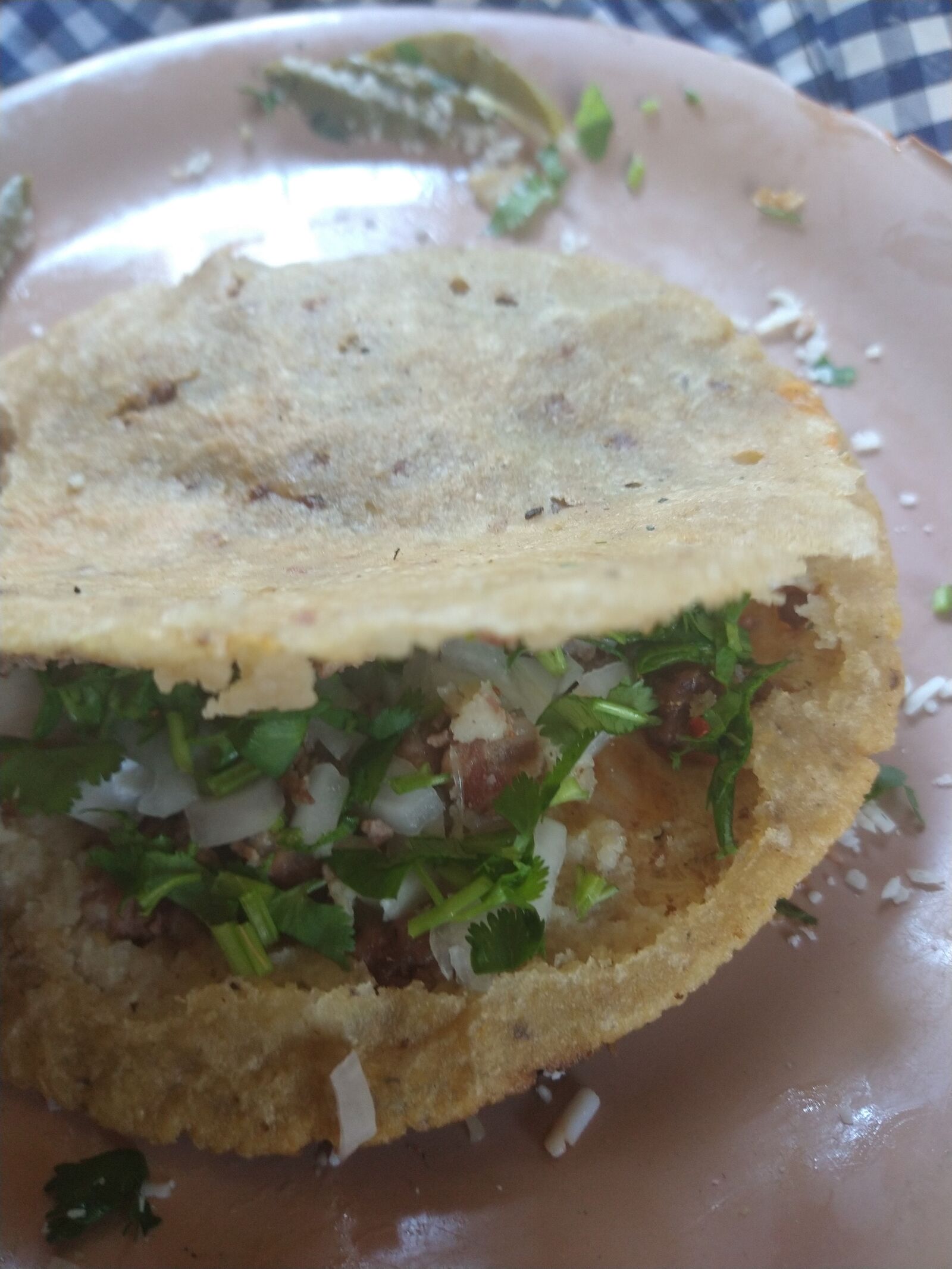ANTOJITOS LA GLORIA image 6