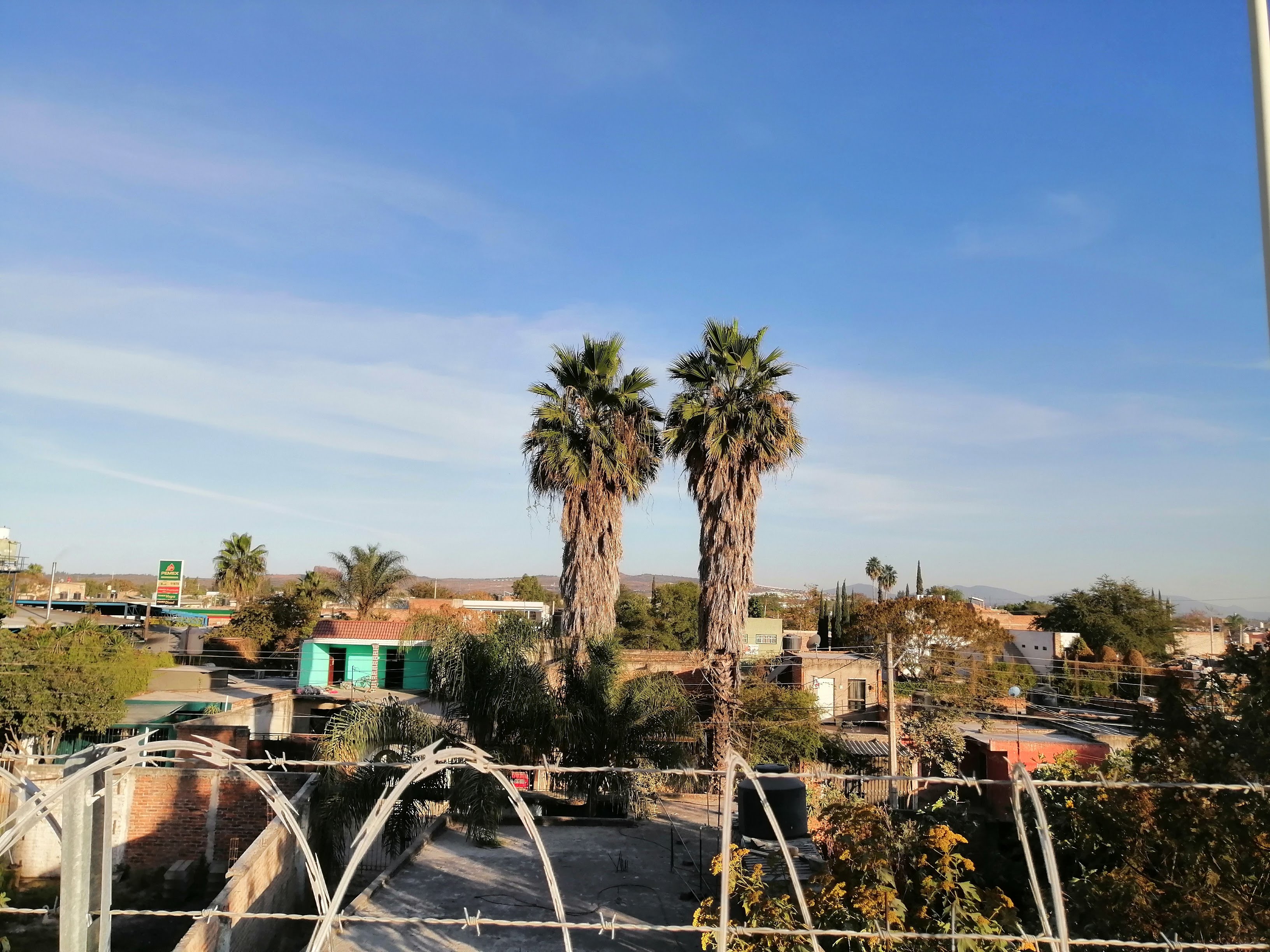 Hamburguesas El Chamono image 8