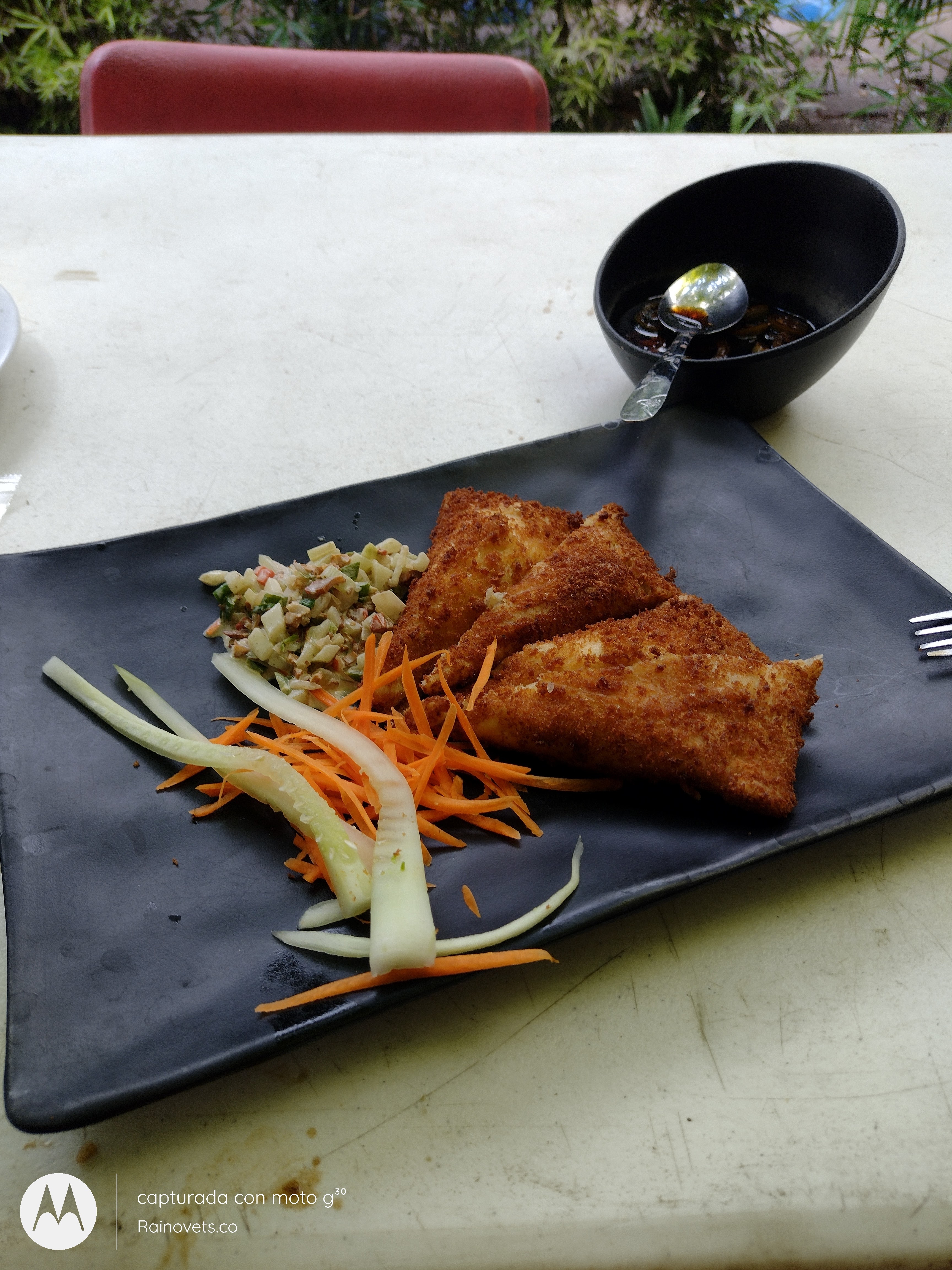 RAÚL Comida Japones image 9