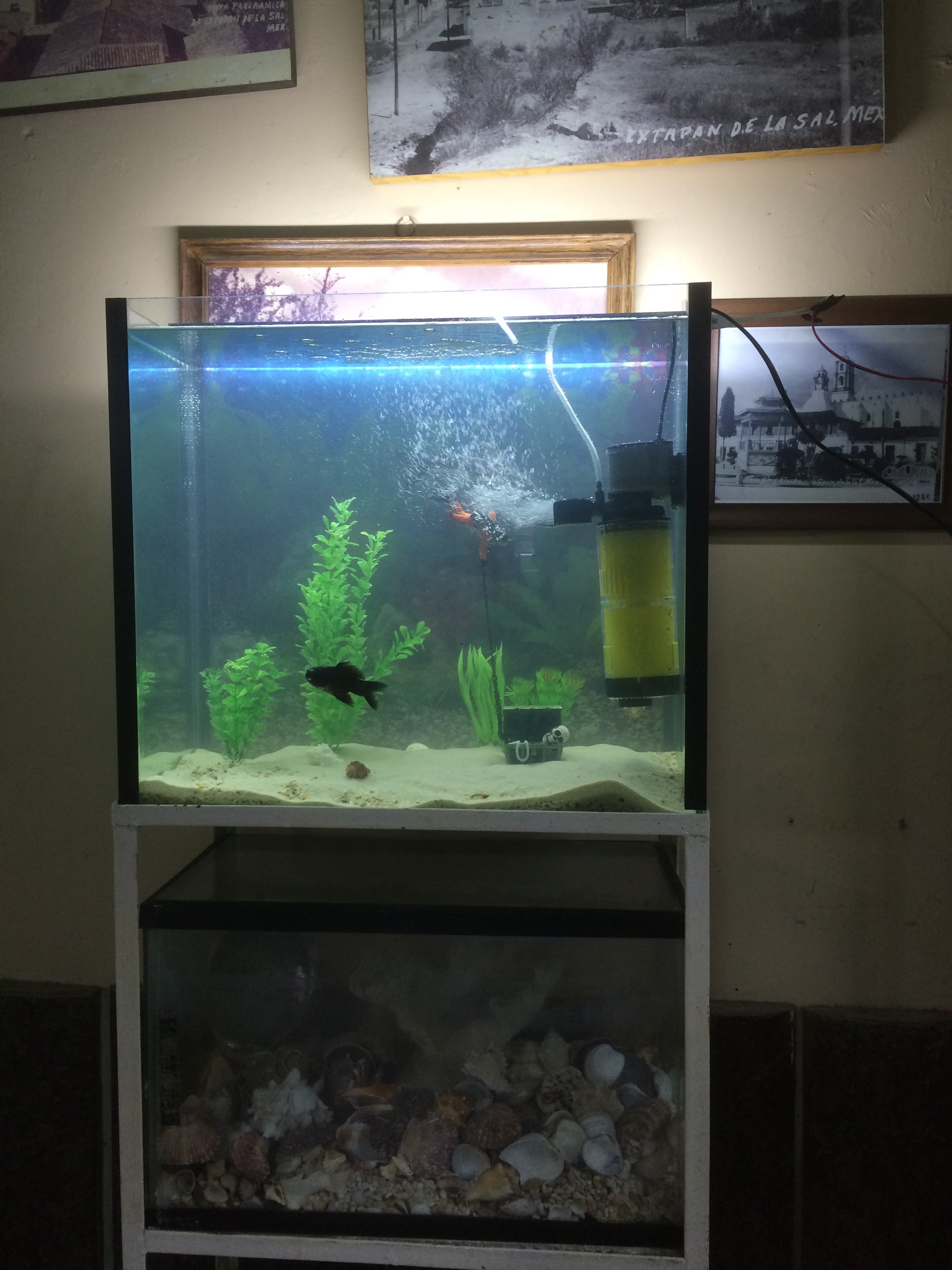 Ostionería Las Brisas image 7