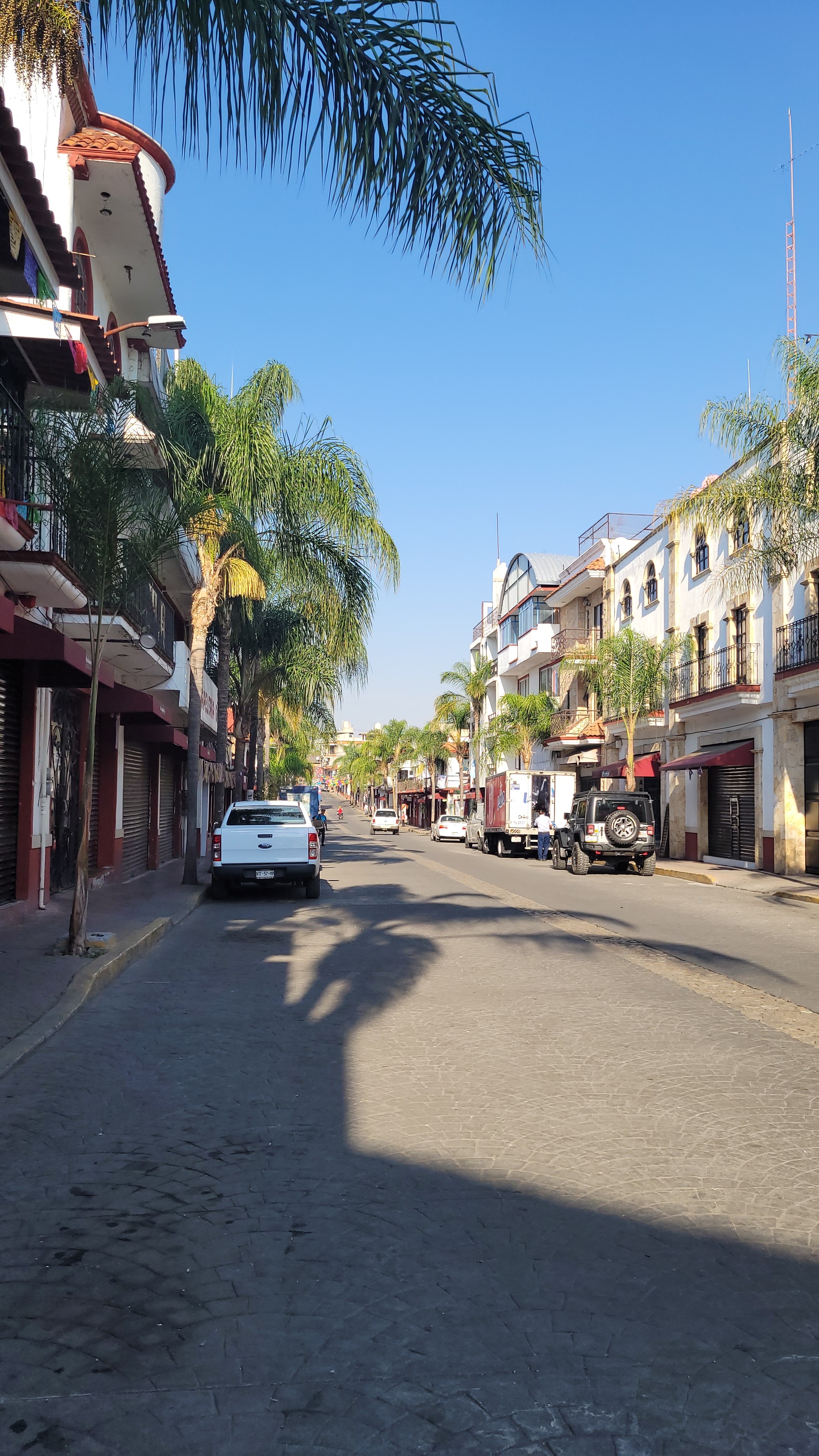 Chilaquiles "Rosy" image 5