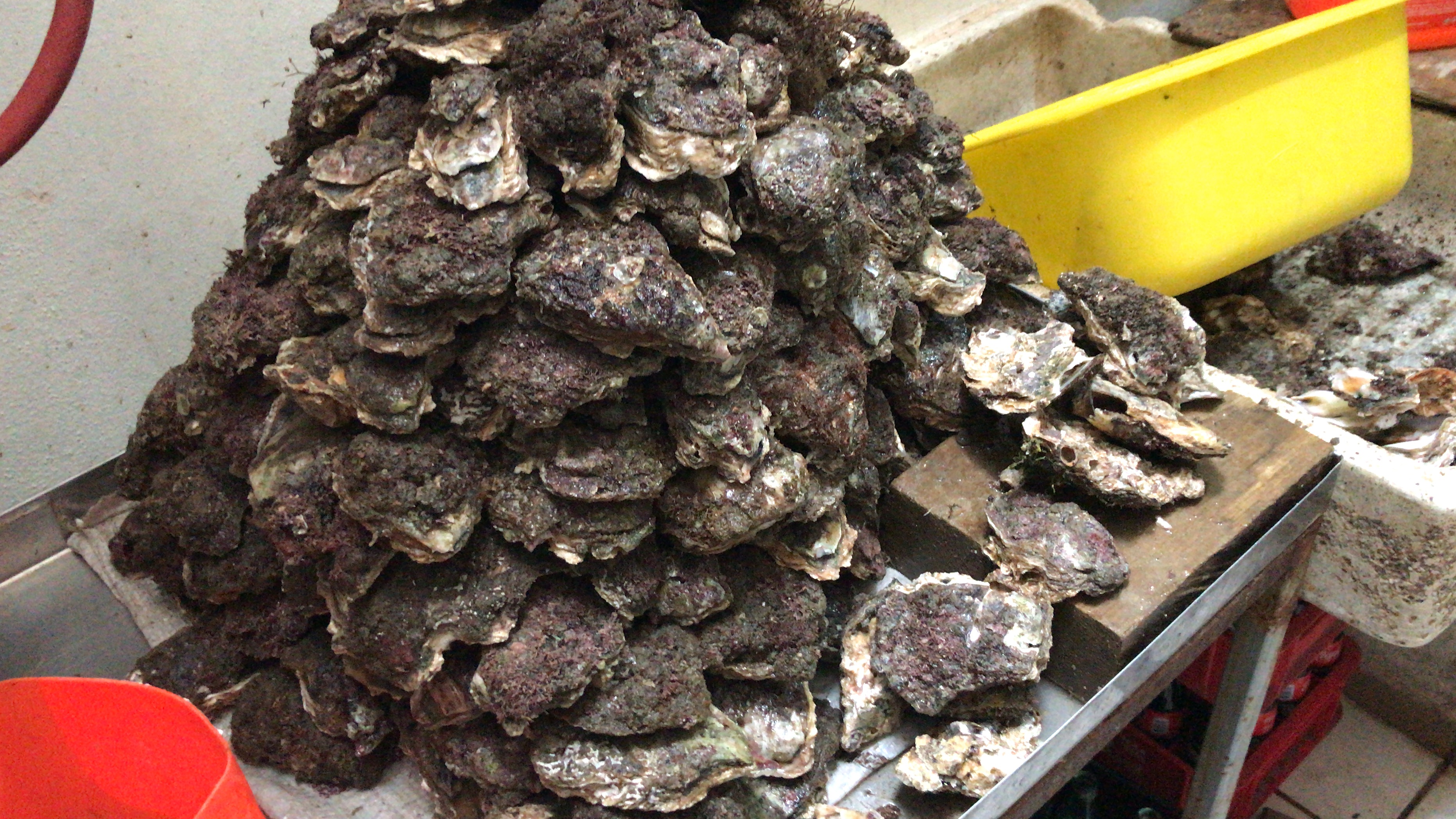 Mariscos Tito's barrabas 2 image 9