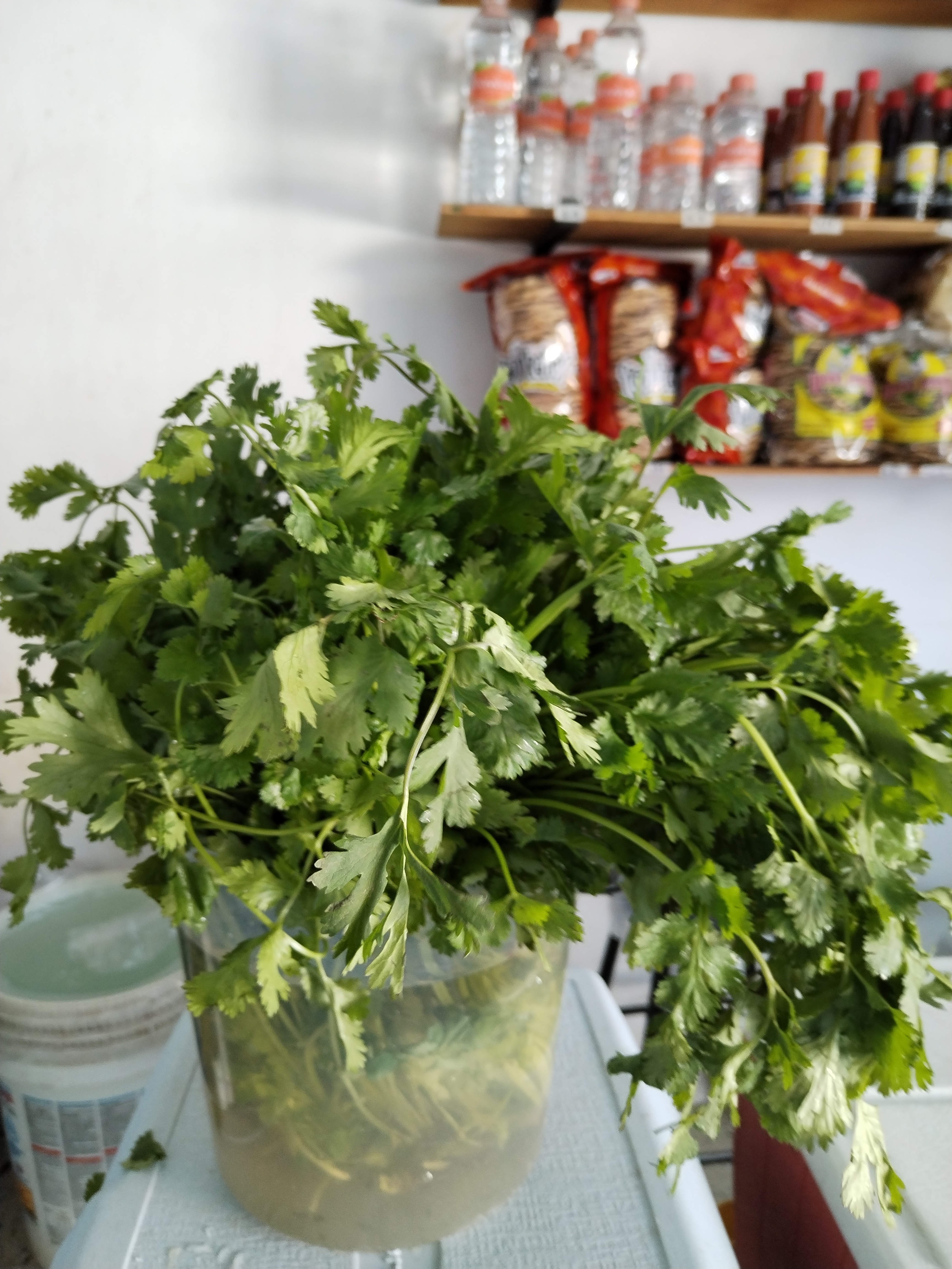 Productos del mar Shalom image 2