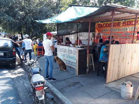 Tacos de Birria "Los Tabachines" image 4