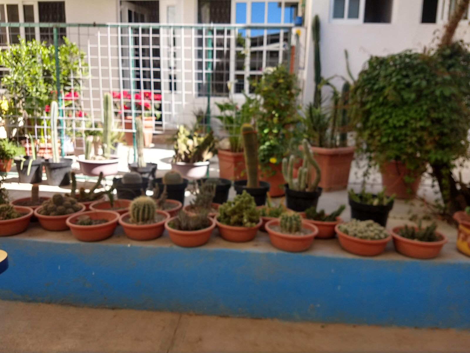El Encanto image 5
