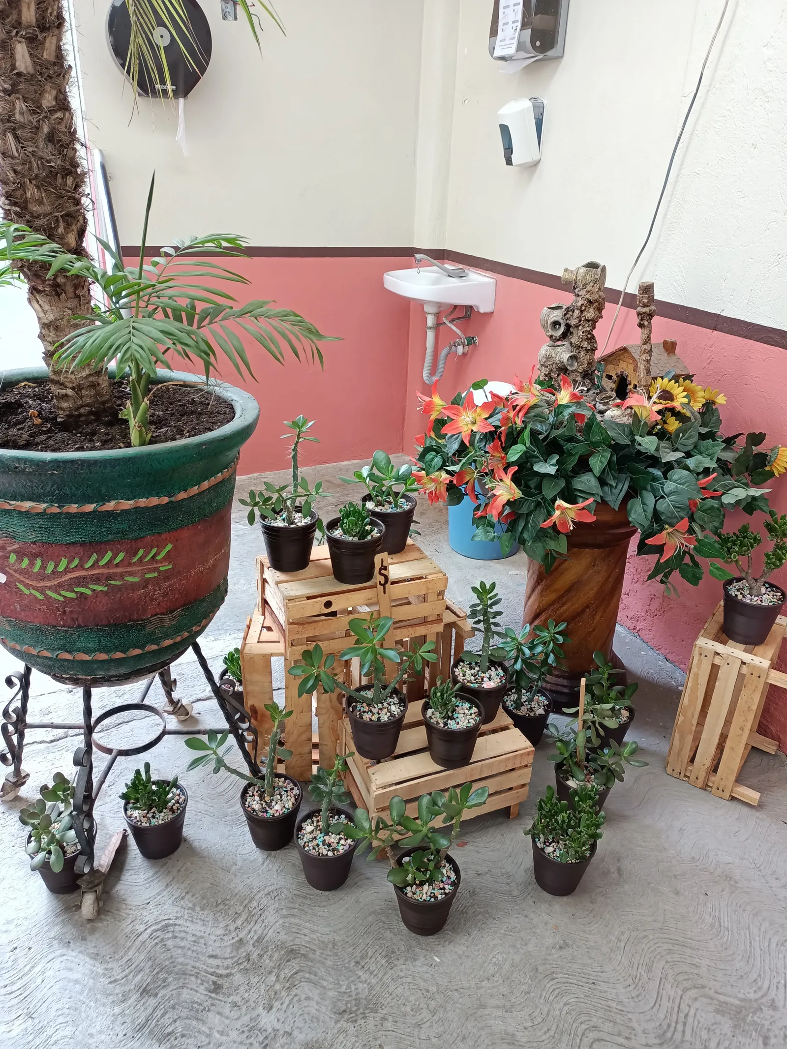 El Encanto image 7