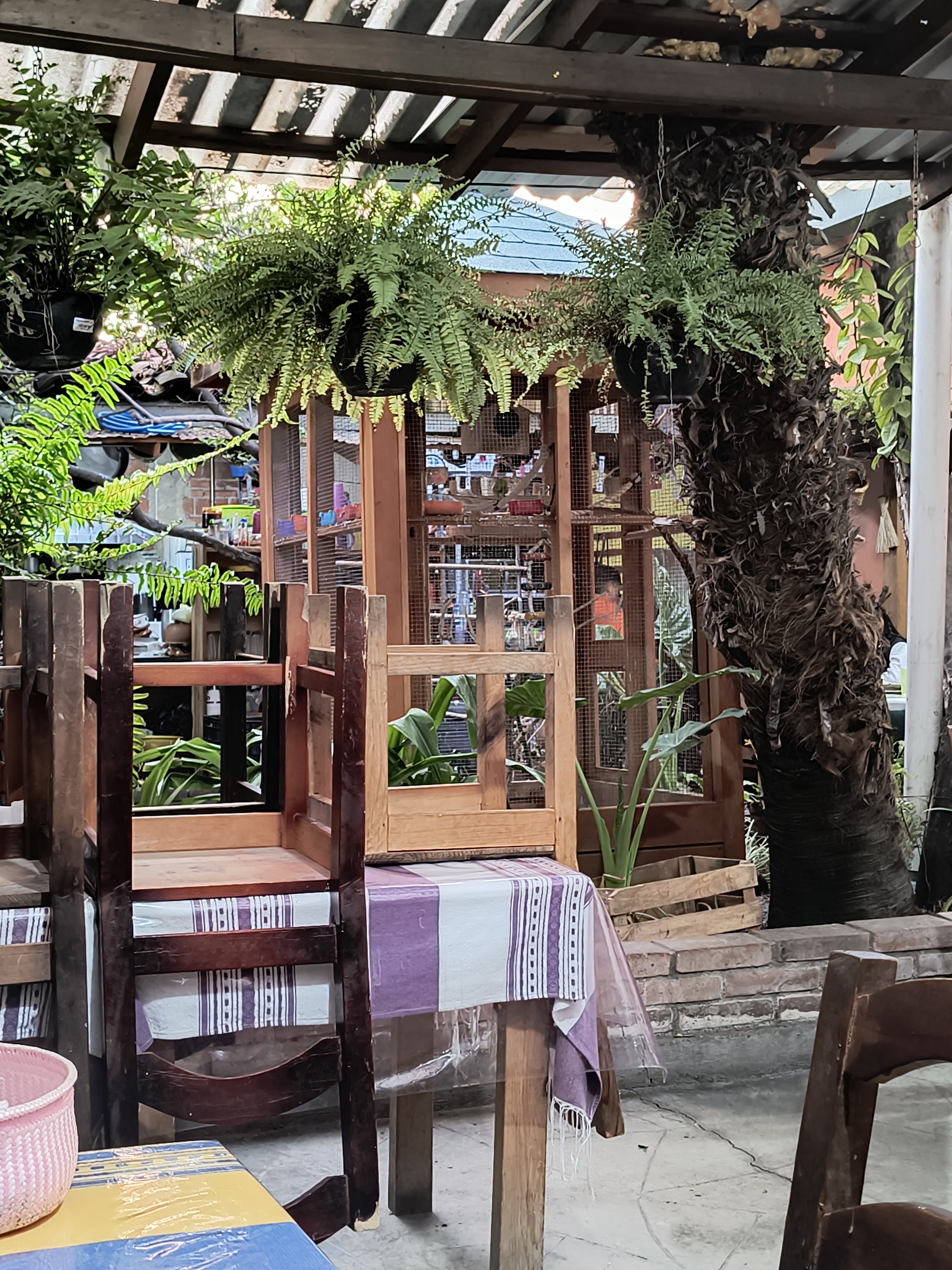 La Soltequita image 5