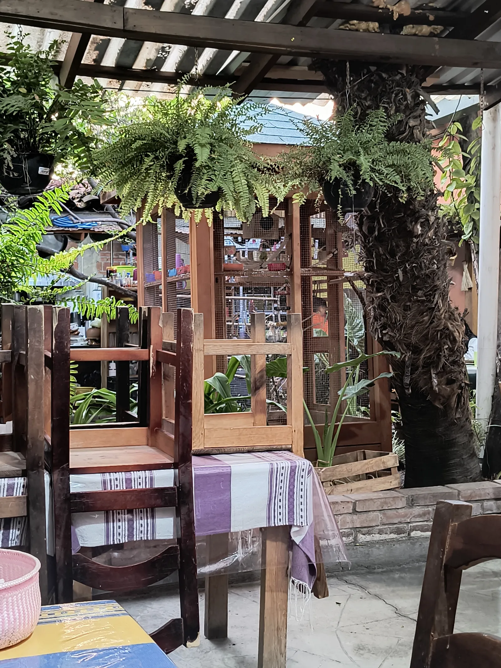 La Soltequita image 5