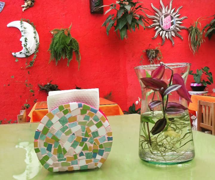 MI OAXAQUITA image 3