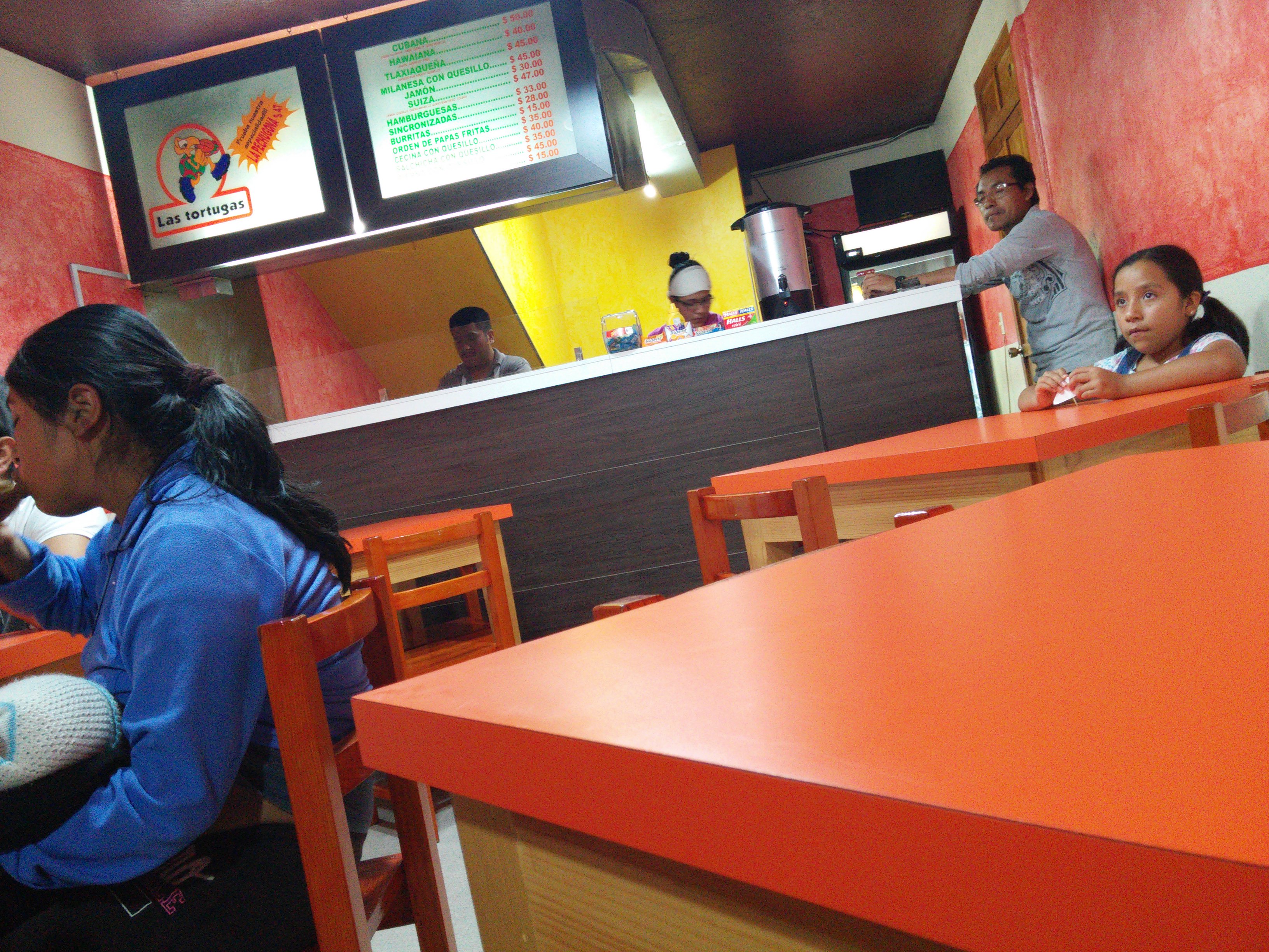 las tortugas image 2