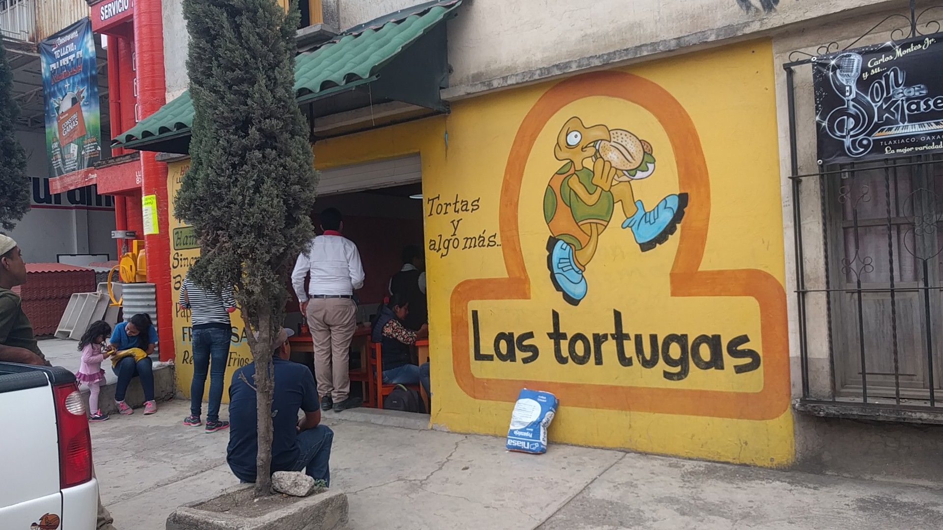 las tortugas image 5