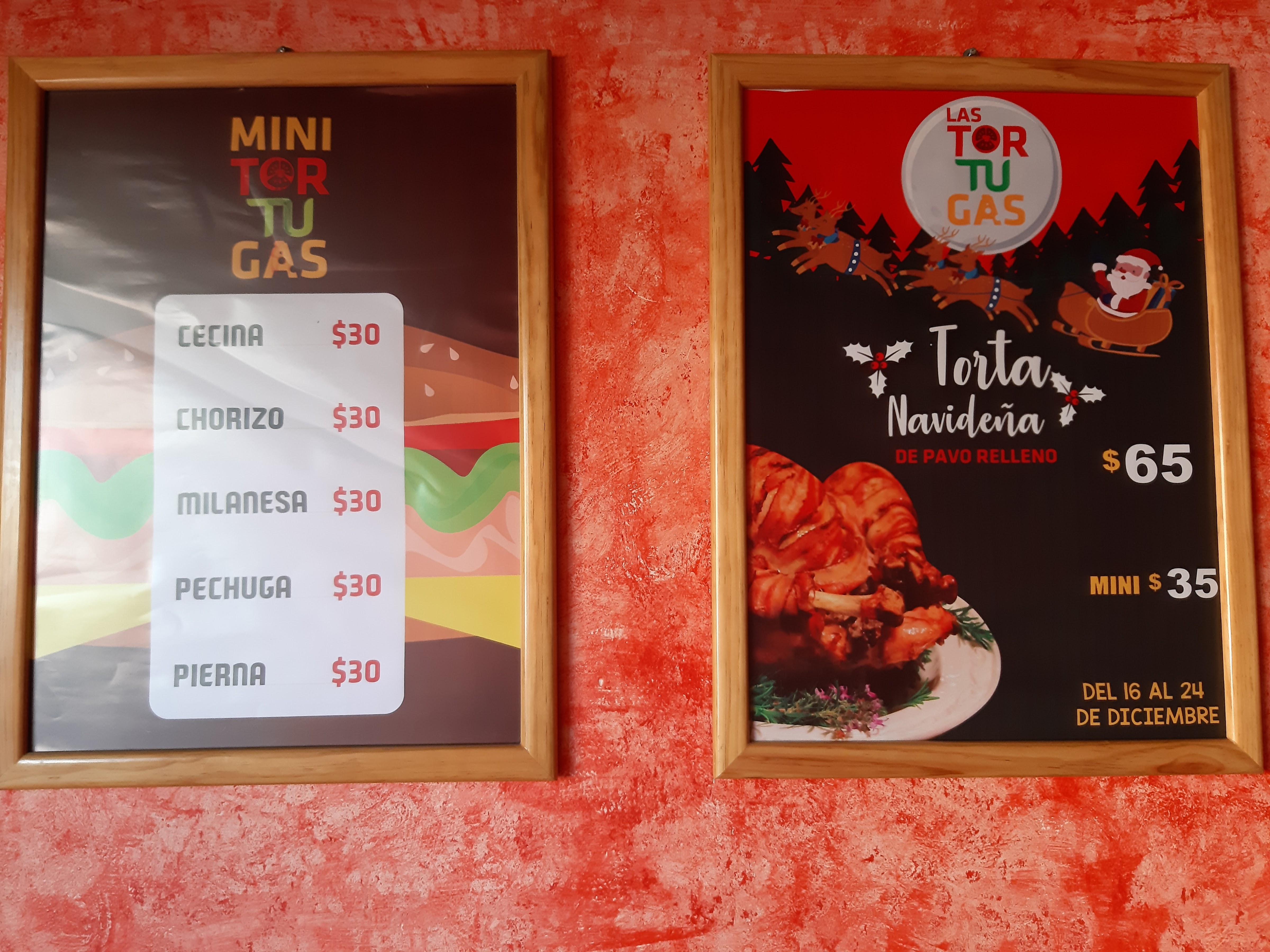 las tortugas image 6