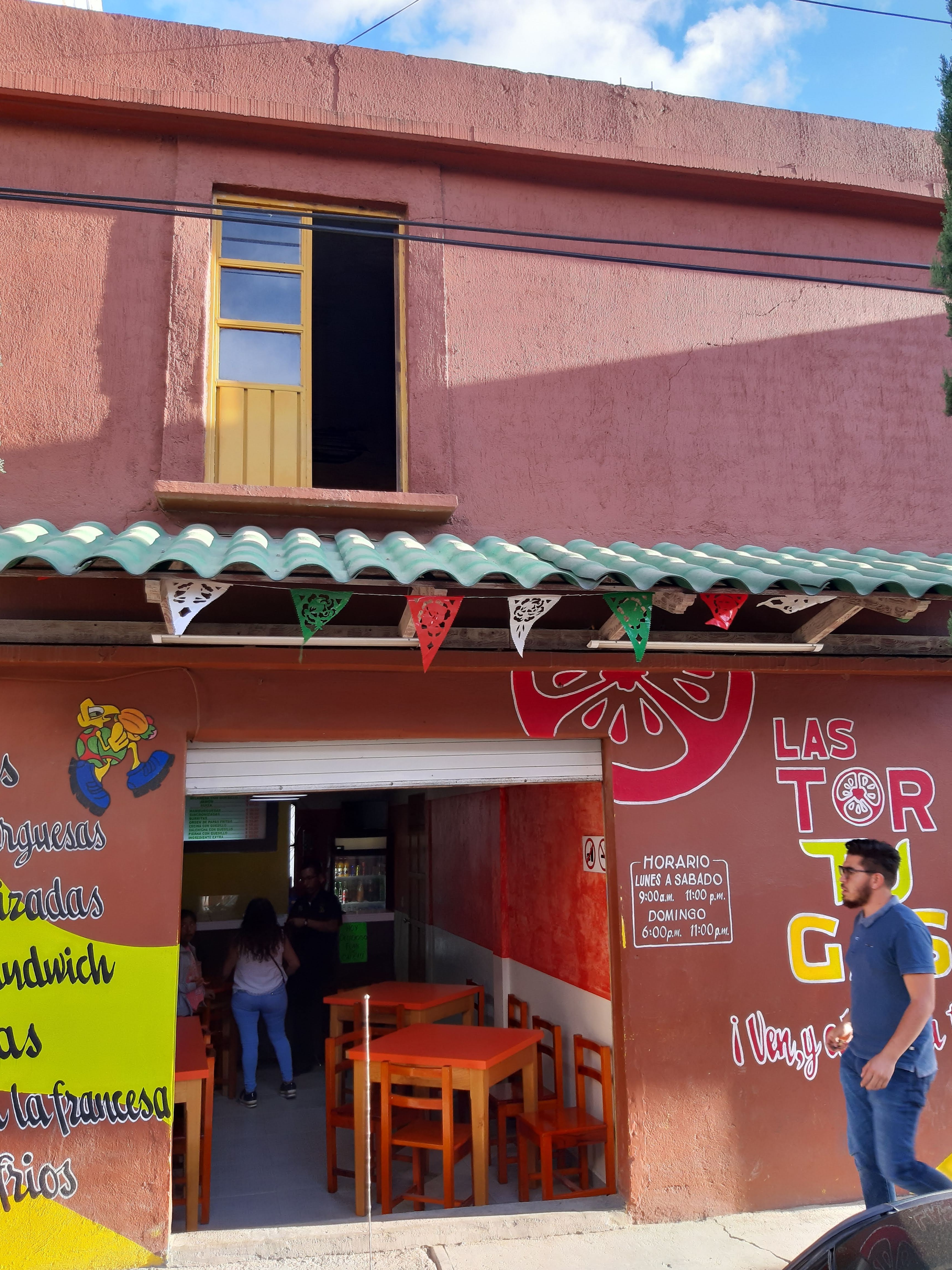 las tortugas image 7