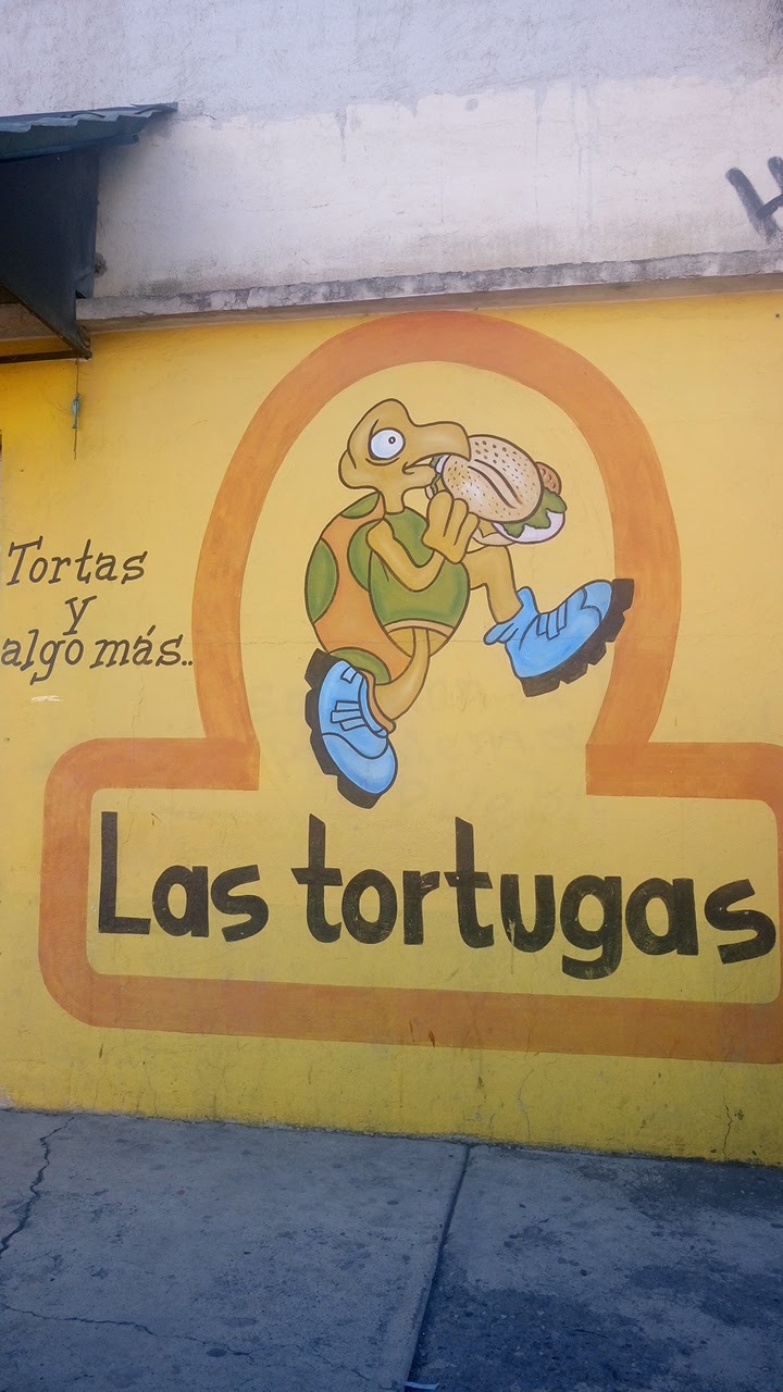 las tortugas image 8