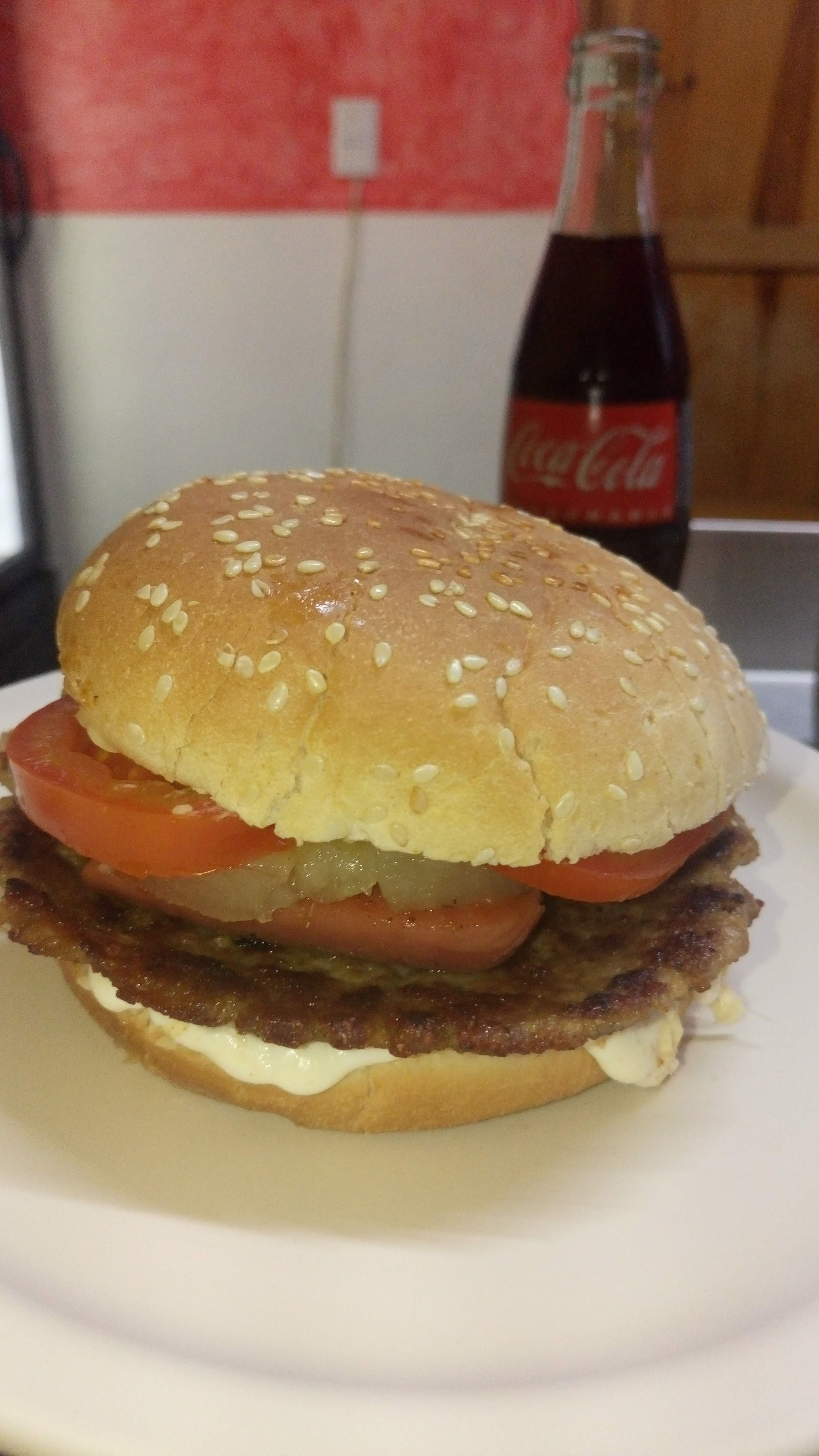 las tortugas image 9