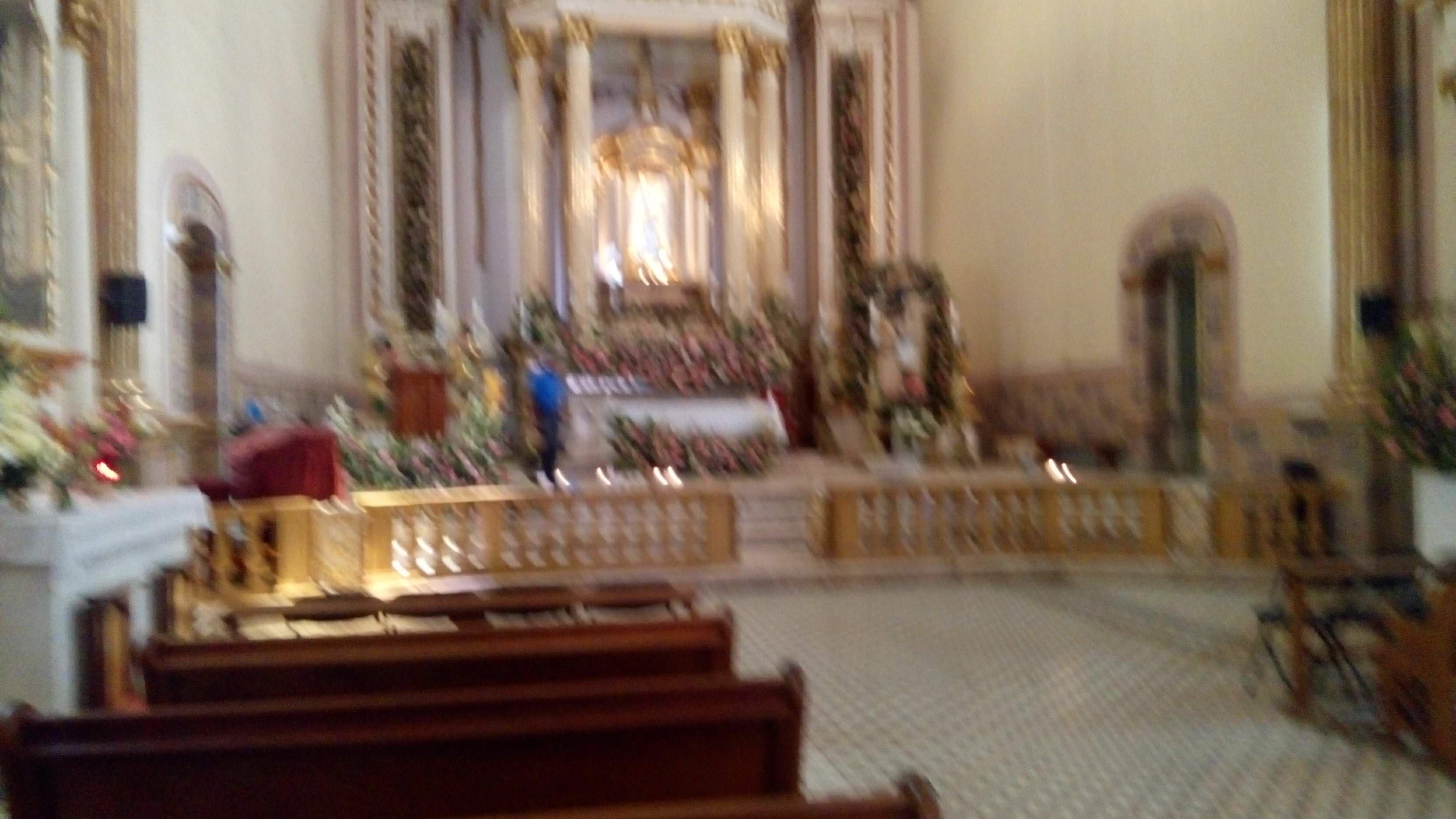 Carnitas Takero Musho image 4