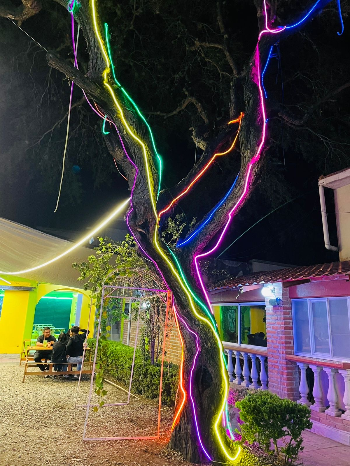 Raptor Papas image 8