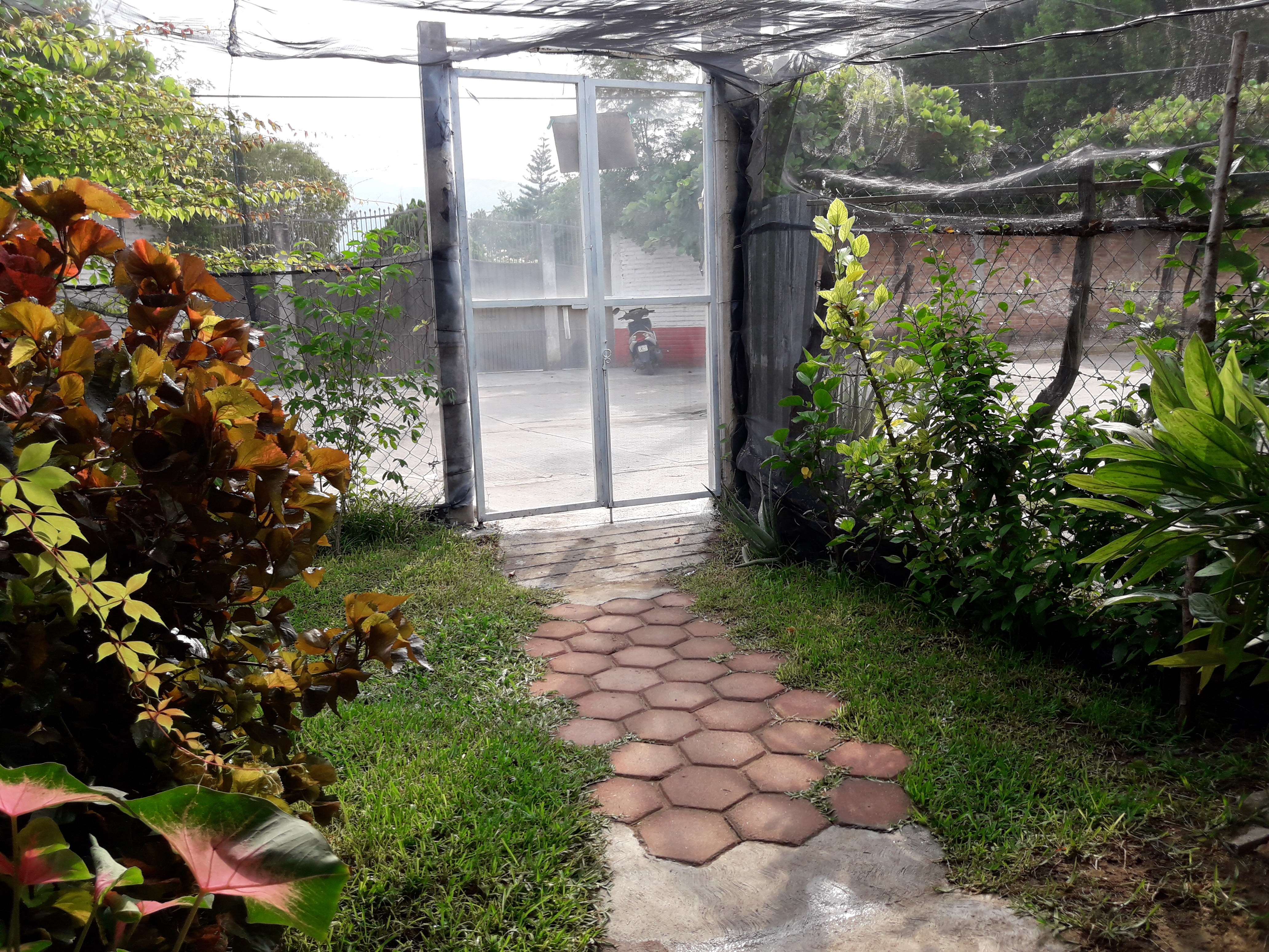 Cocina Economica Abi image 6