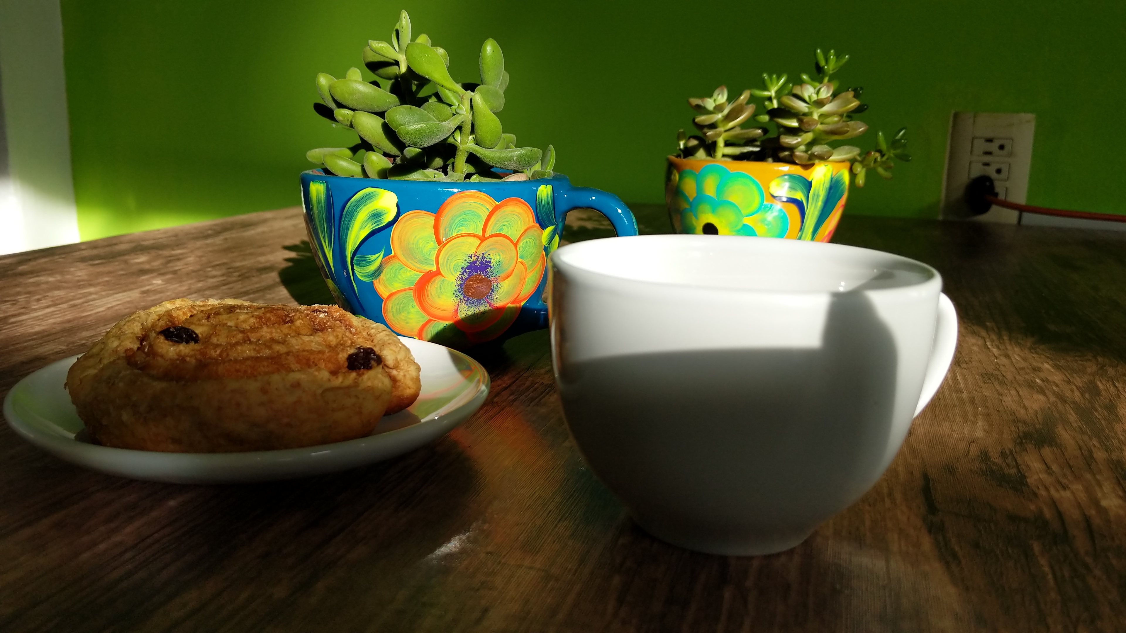 La Suculenta image 5