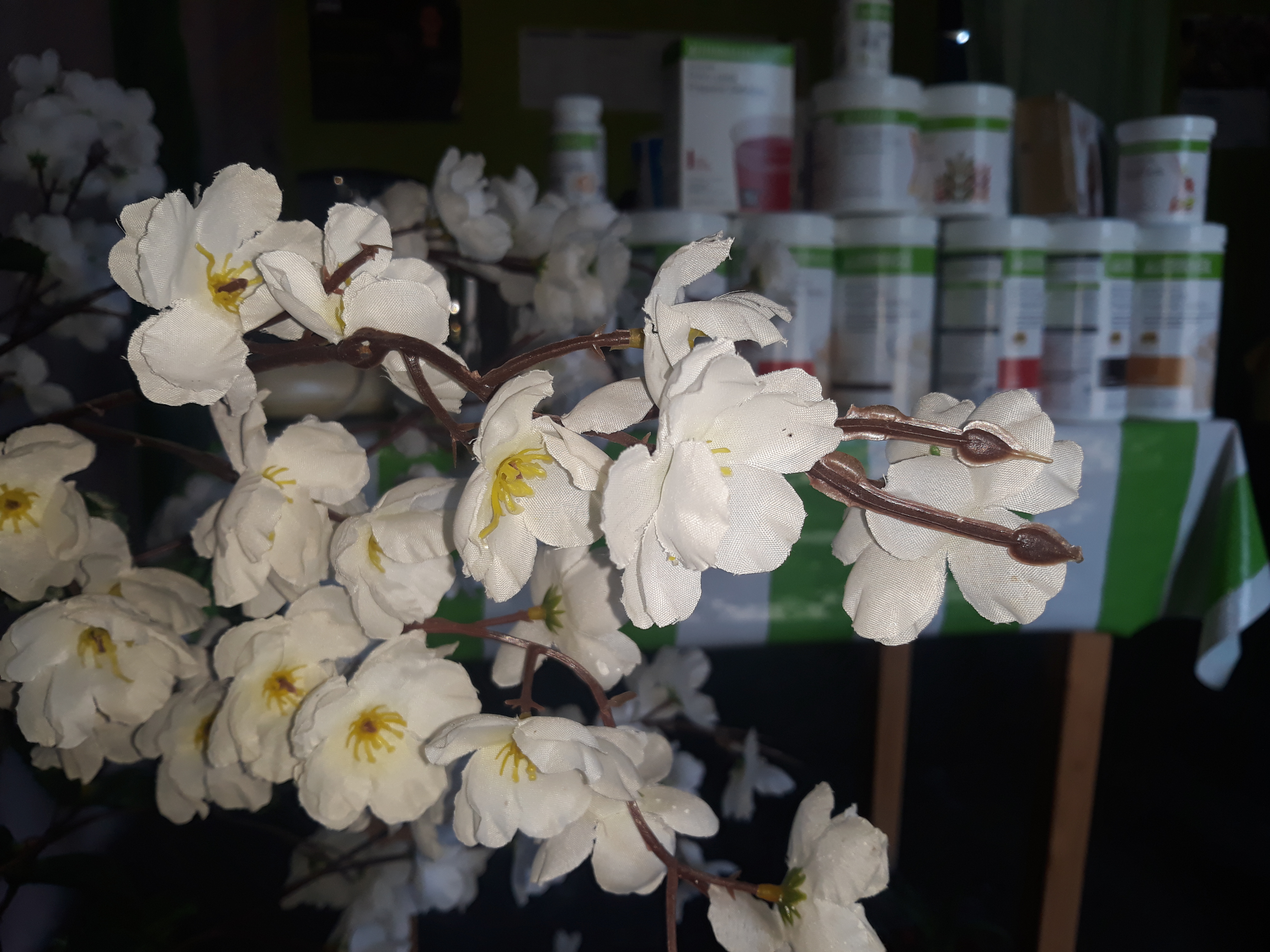 Club de Nutrición Herbalife image 2