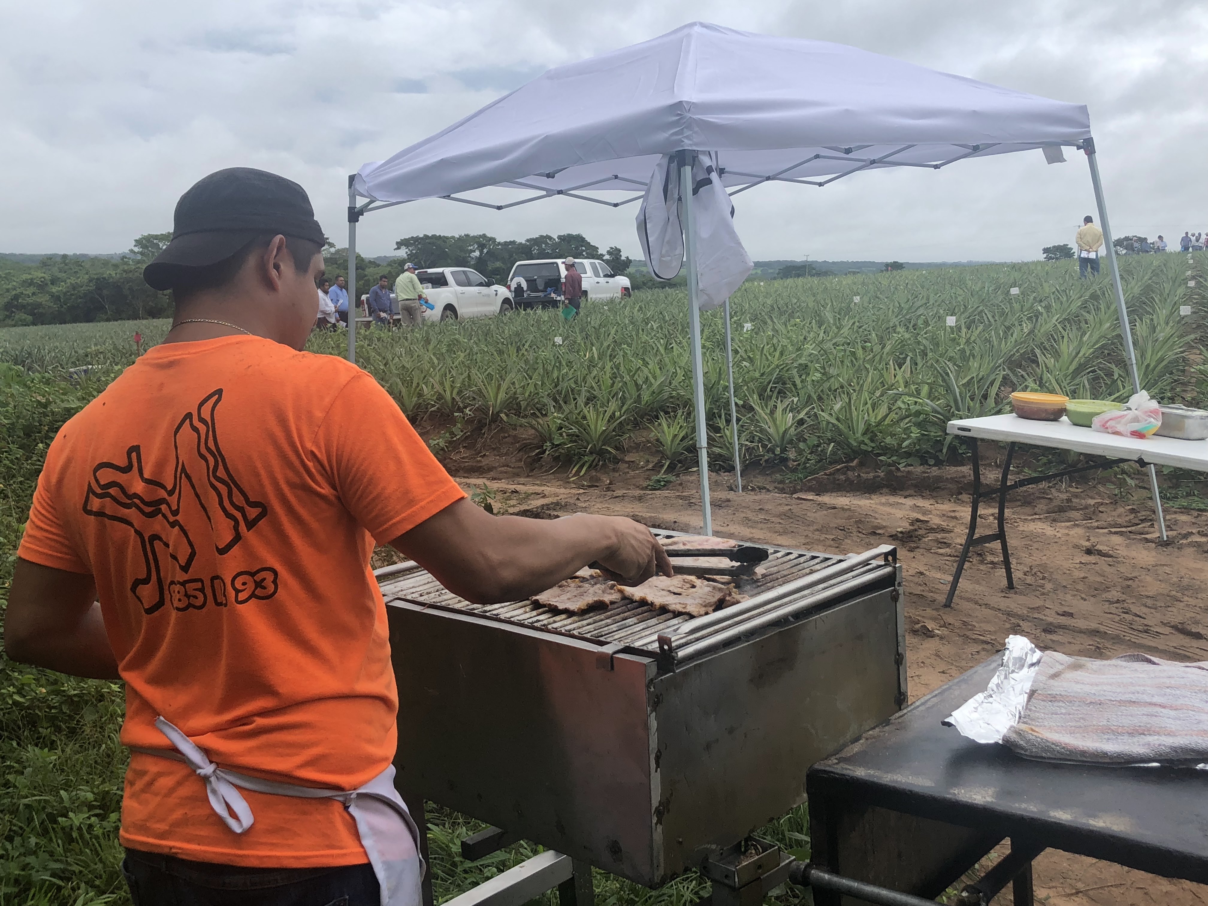 LOS MOLCAJETES TACOS CARNES Y QUESOS image 9
