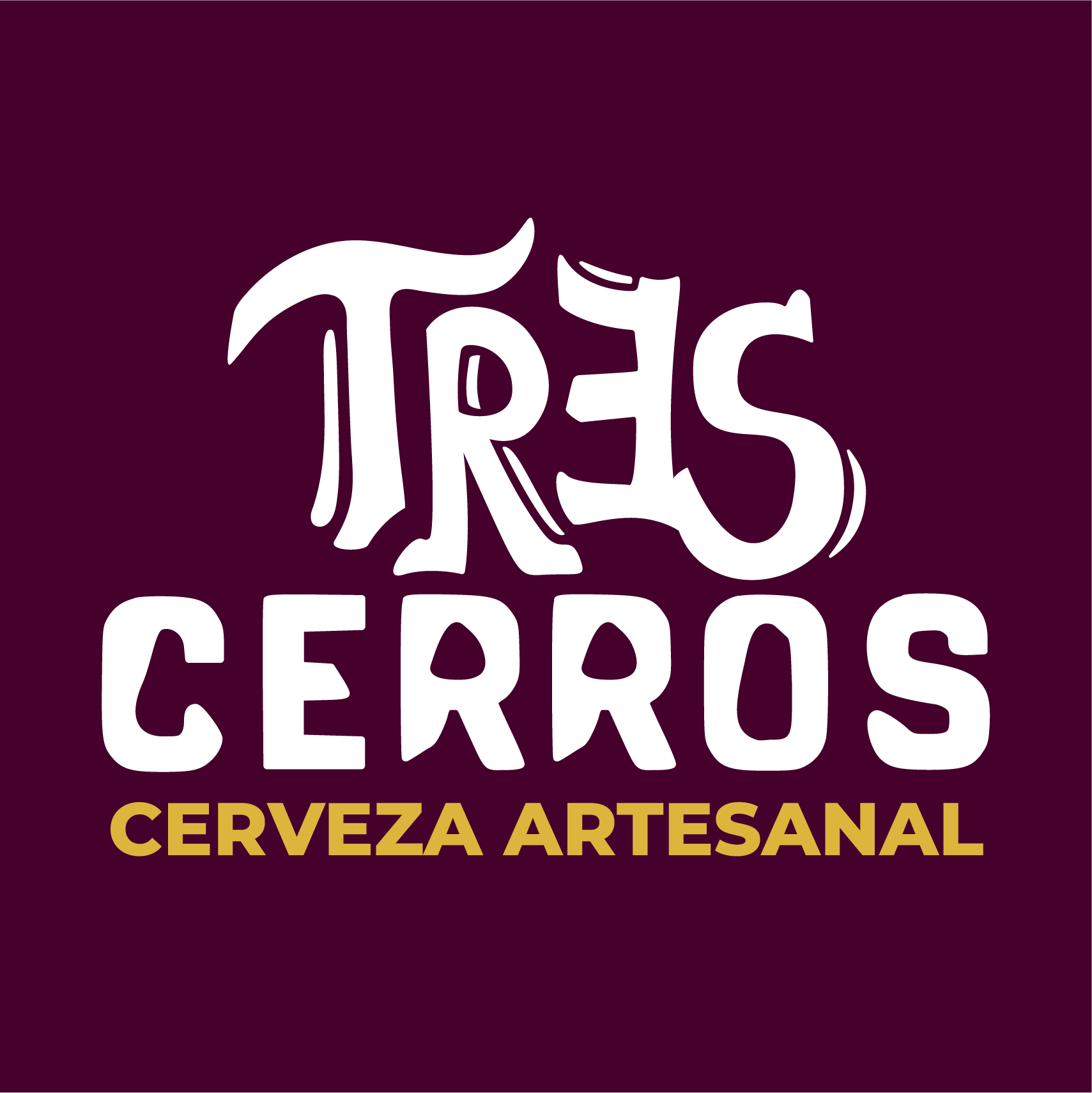 Tres Cerros Cerveza Artesanal image 5